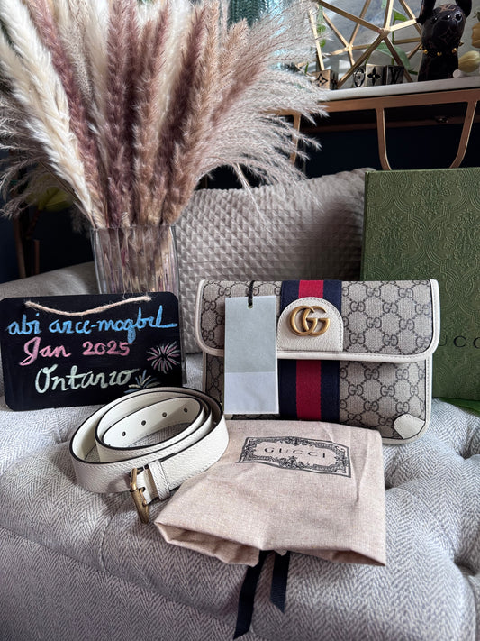 Gucci Beltbag/Clutch