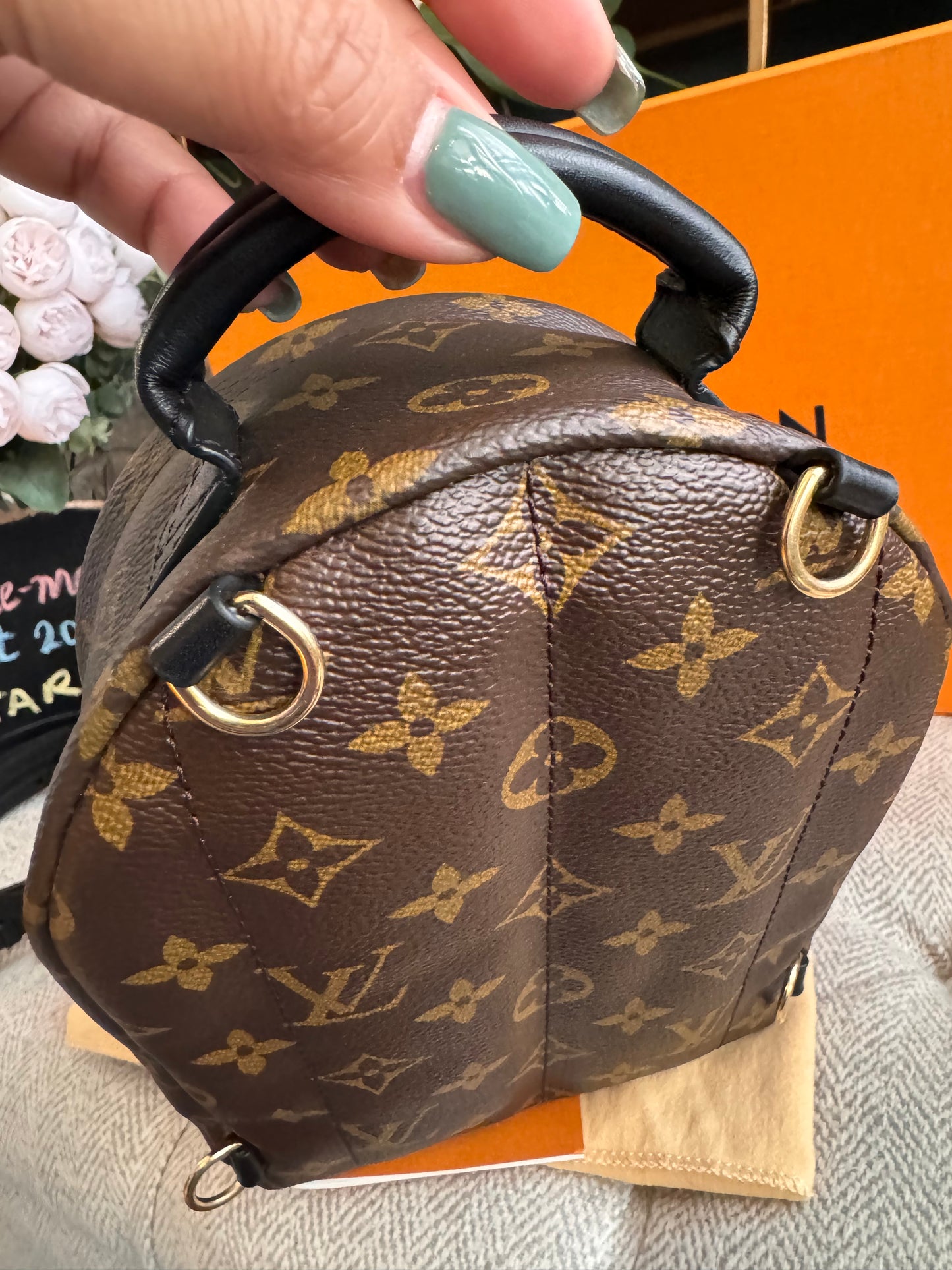 Louis Vuitton Palm Springs Mini