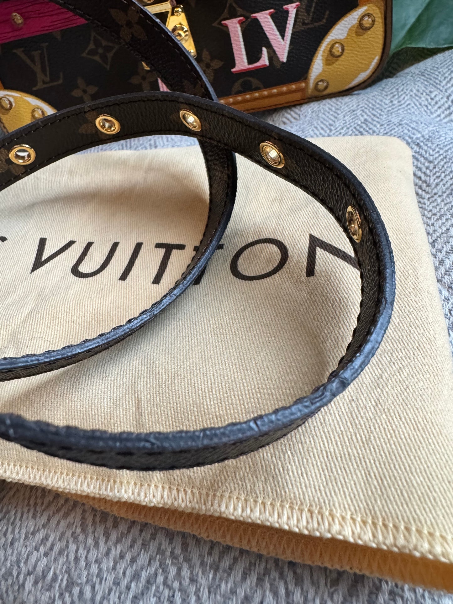 Louis Vuitton Summer Trunks Pochette Metis