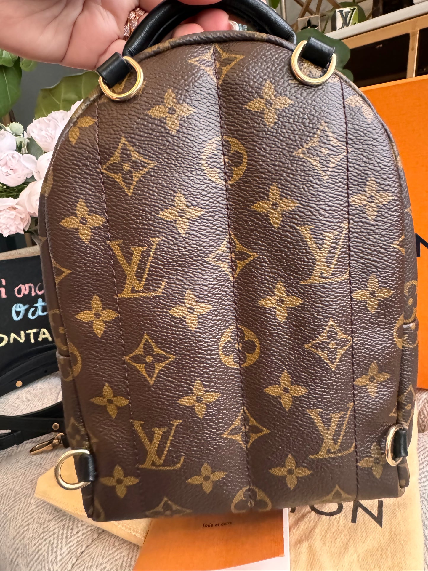 Louis Vuitton Palm Springs Mini