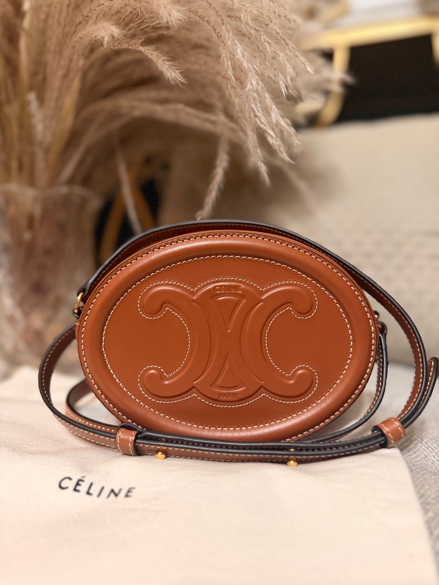 Celine Oval Triomphe Bag in Calfskin