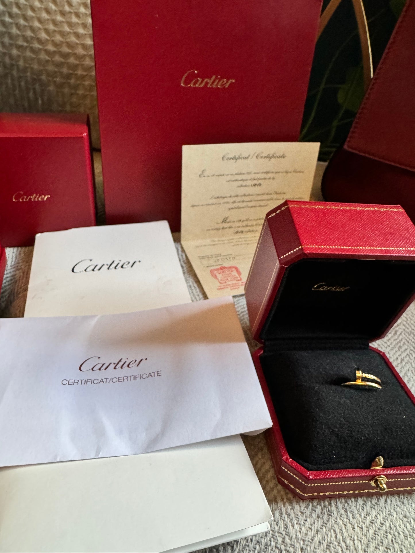 Cartier Juste Un Clou Ring