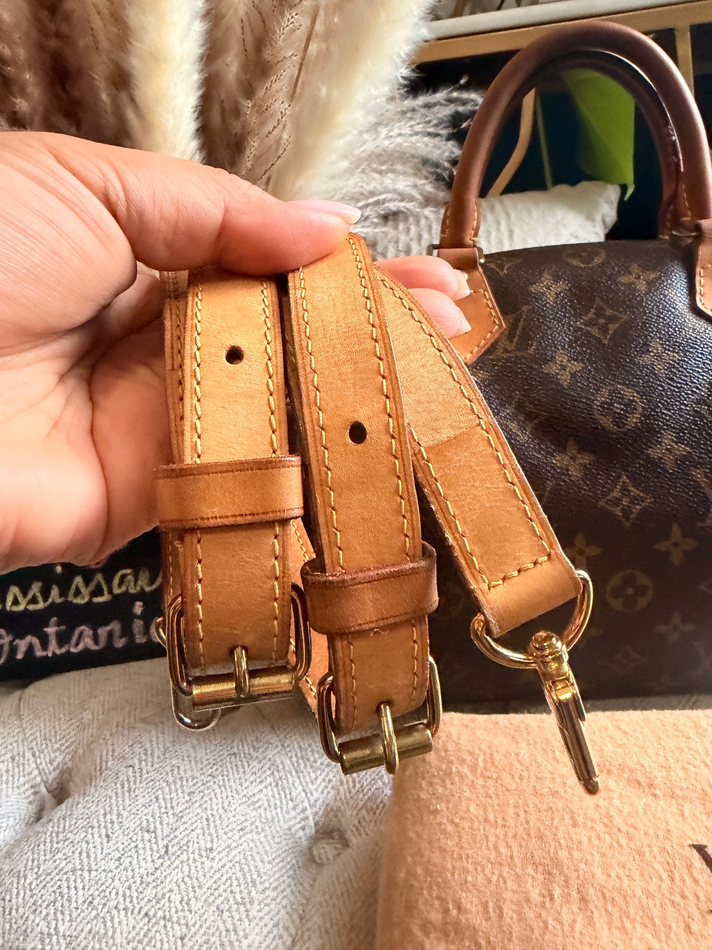 Louis Vuitton Speedy B30 in Monogram