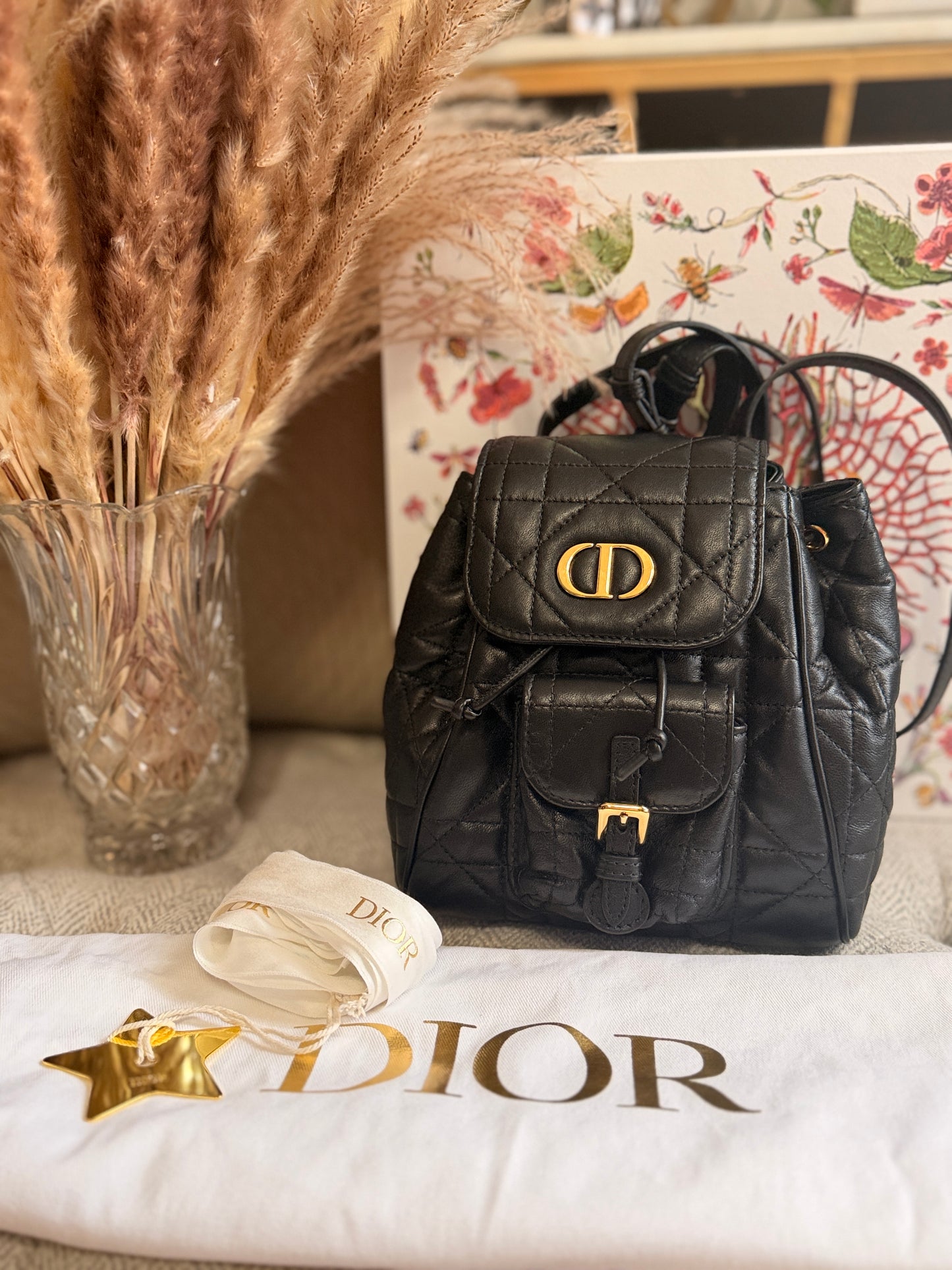 Dior Caro Macrocannage Backpack in Classic black