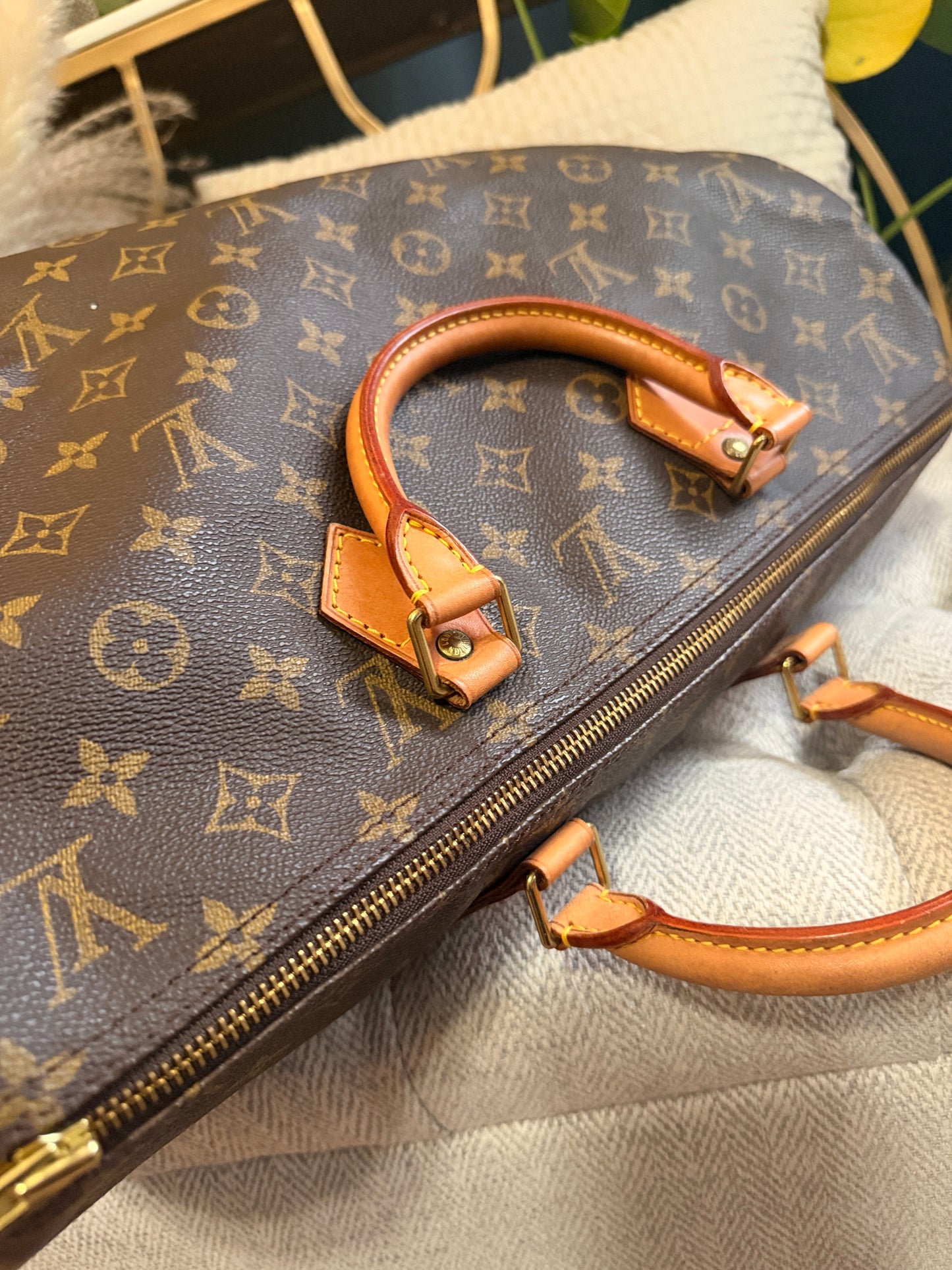 Louis Vuitton Speedy 40 in Monogram