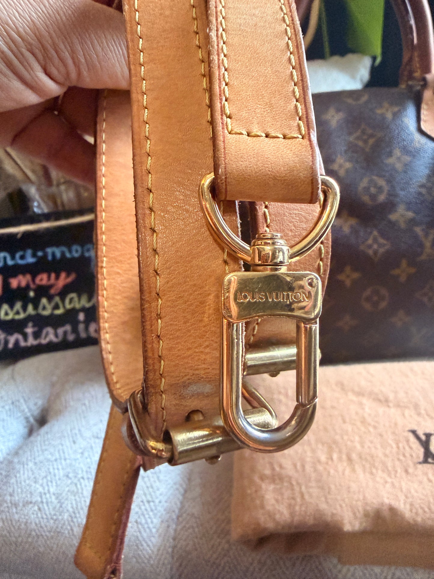 Louis Vuitton Speedy B30 in Monogram