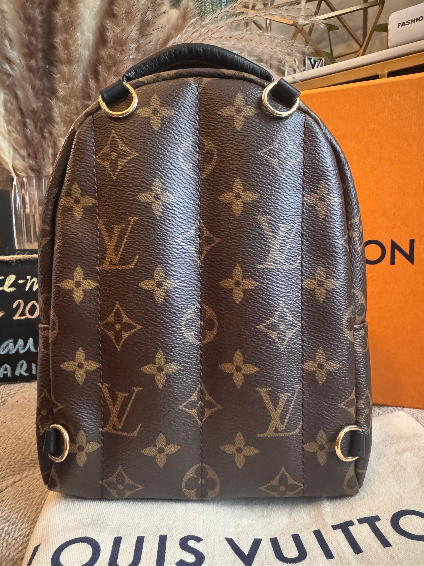 Louis Vuitton Mini Palm Springs-New Model with exposed zip Microchipped