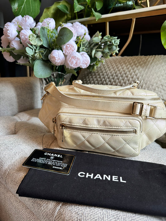 Chanel Iridescent All About Waist bumbag