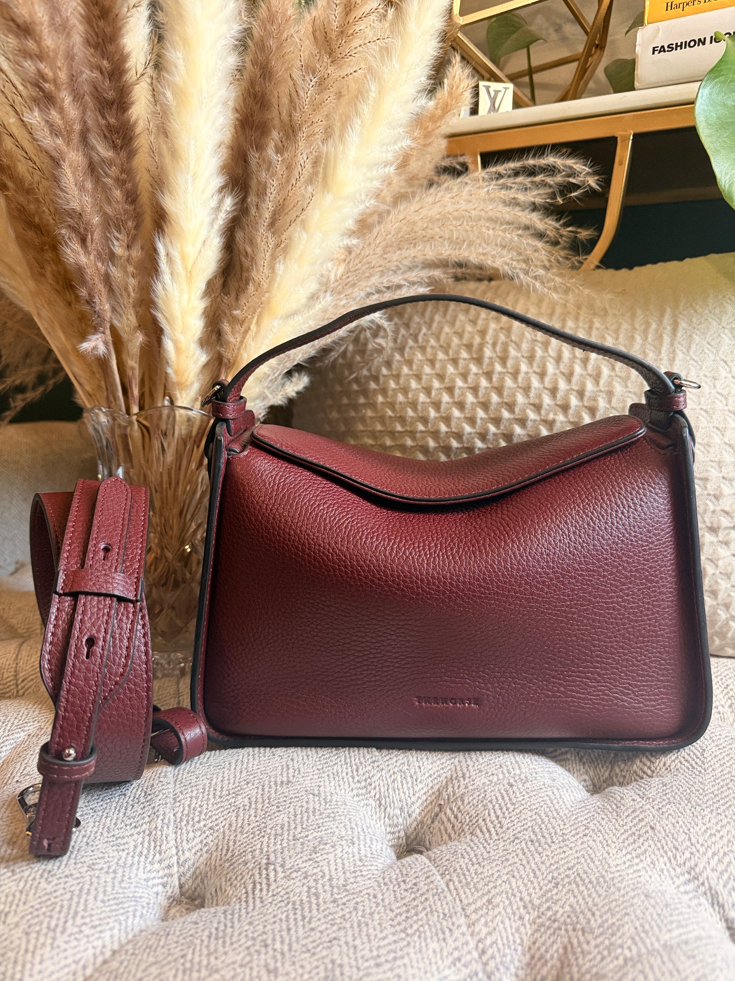 The Horse Clementine in Burgundy