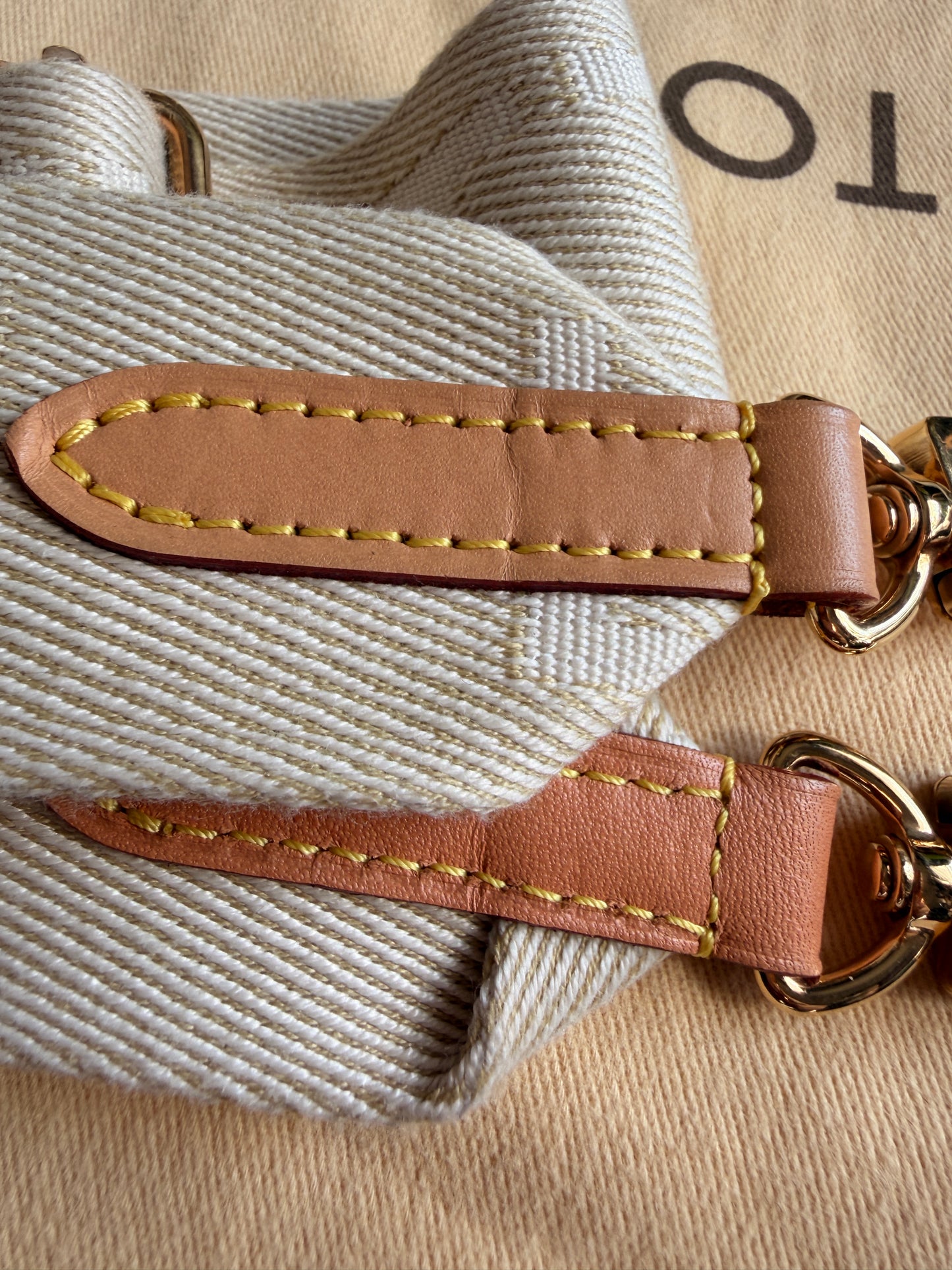 Louis Vuitton Coussin PM