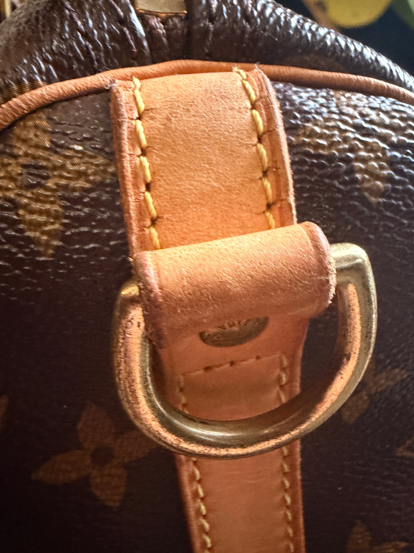 Louis Vuitton Speedy B30 in Monogram