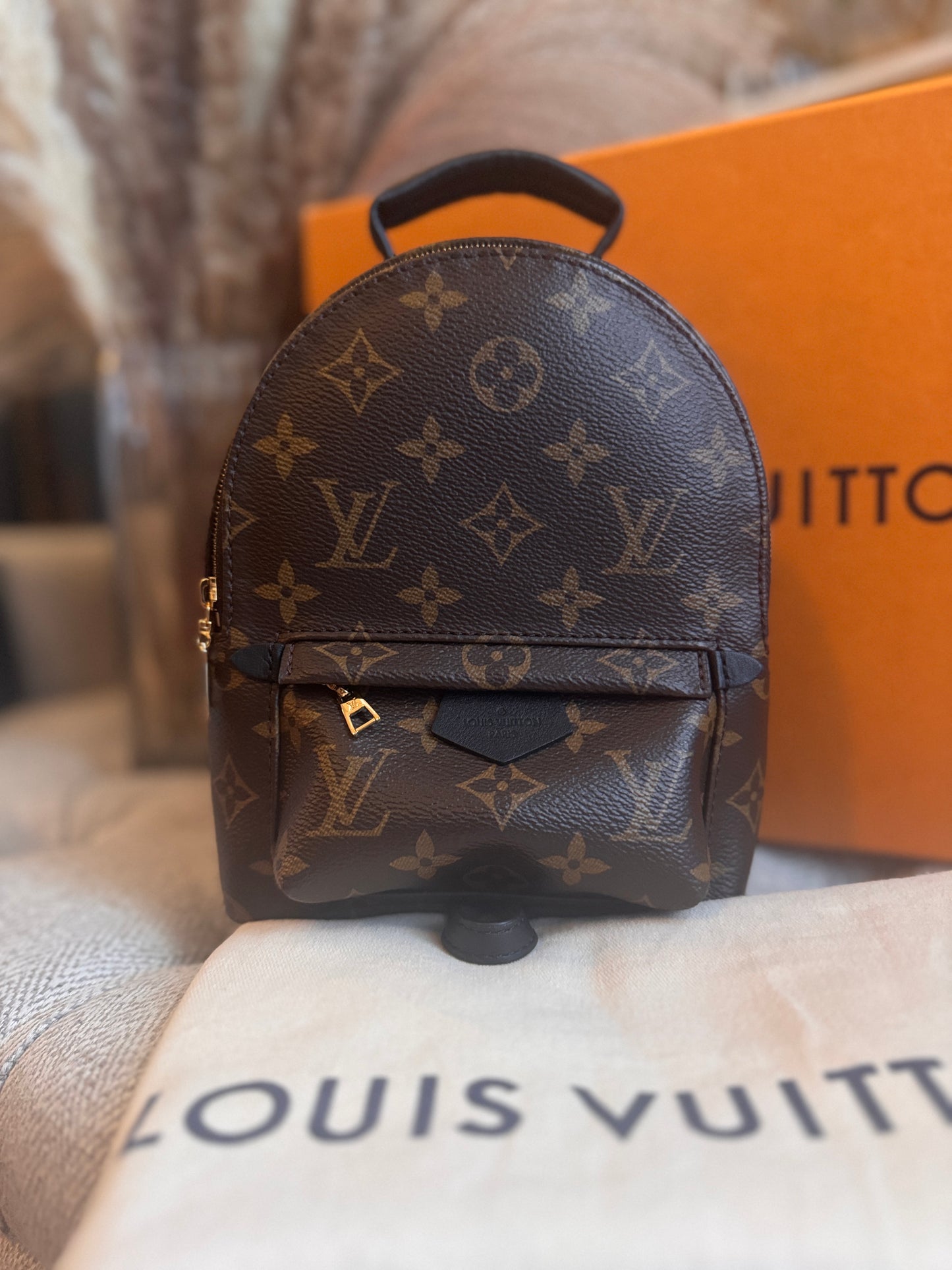 Louis Vuitton Mini Palm Springs-New Model with exposed zip Microchipped