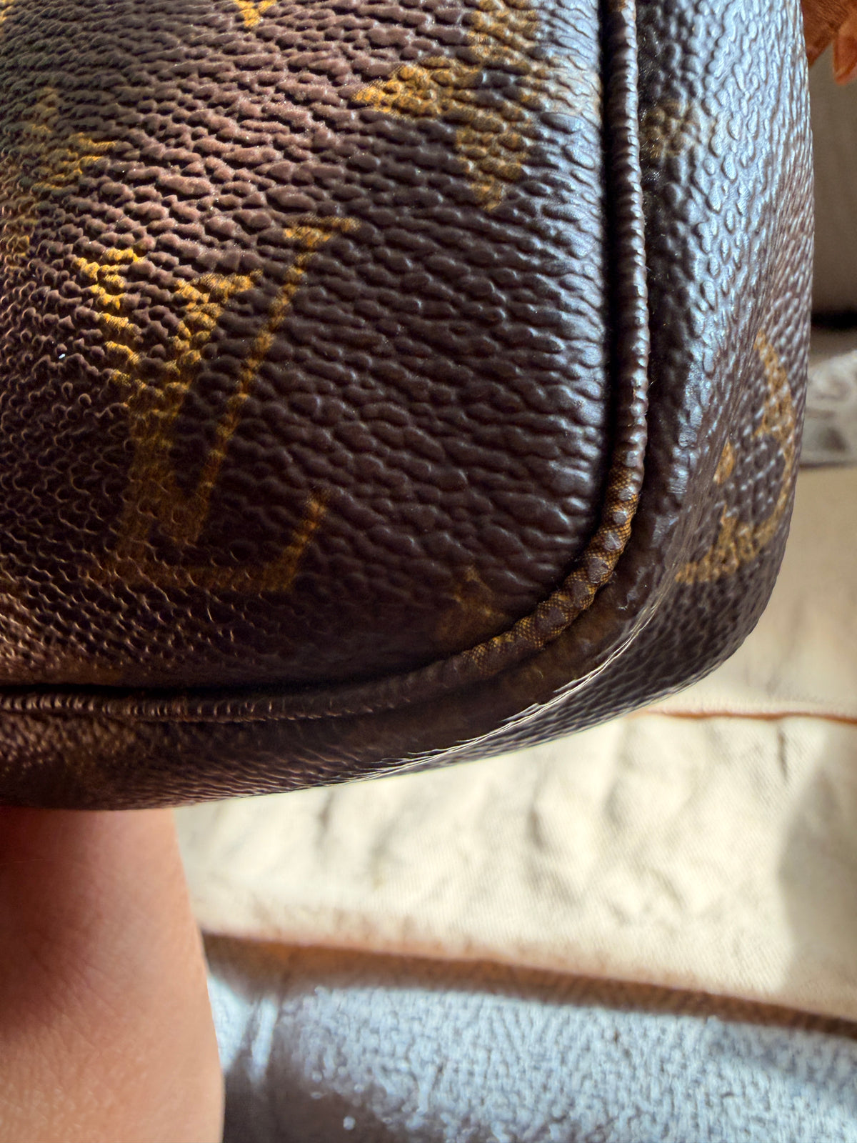 LOUIS VUITTON Pochette Accessoires