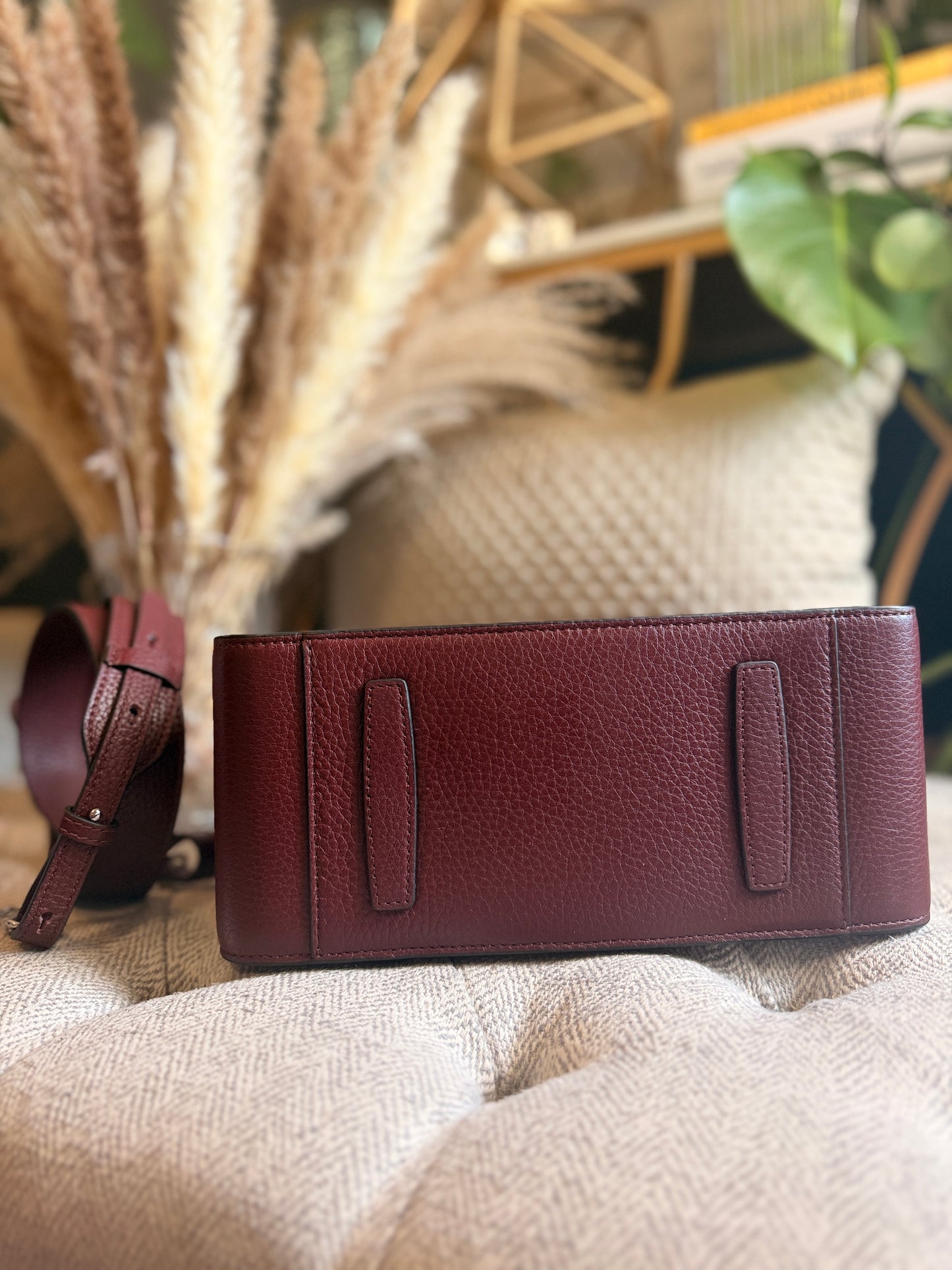 The Horse Clementine in Burgundy