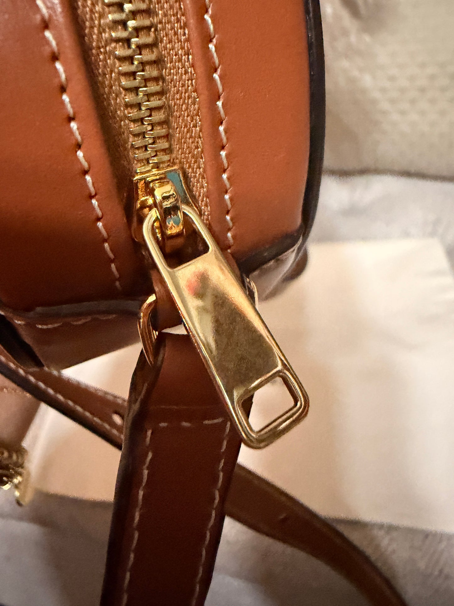 Celine Oval Triomphe Bag in Calfskin