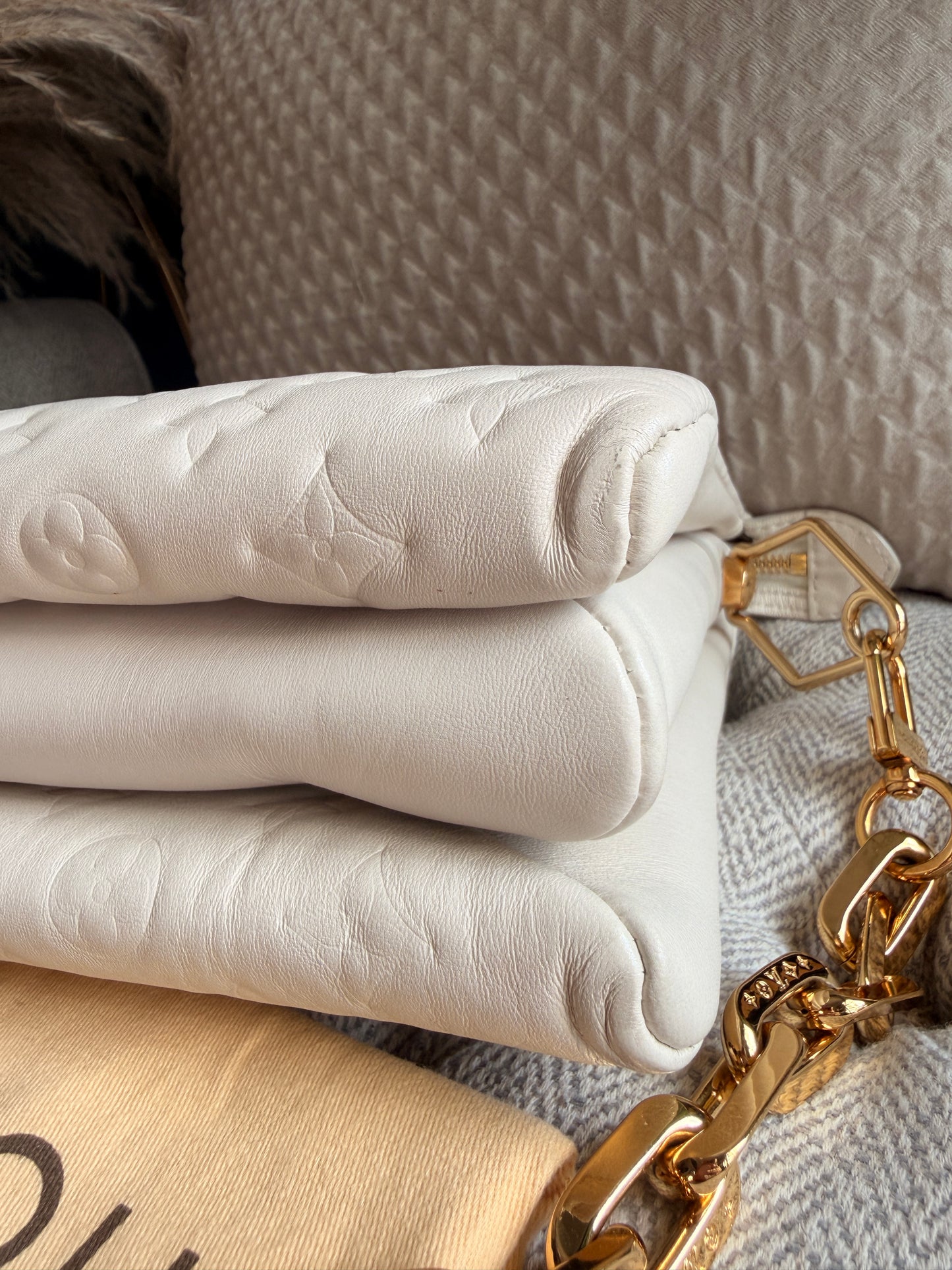 Louis Vuitton Coussin PM