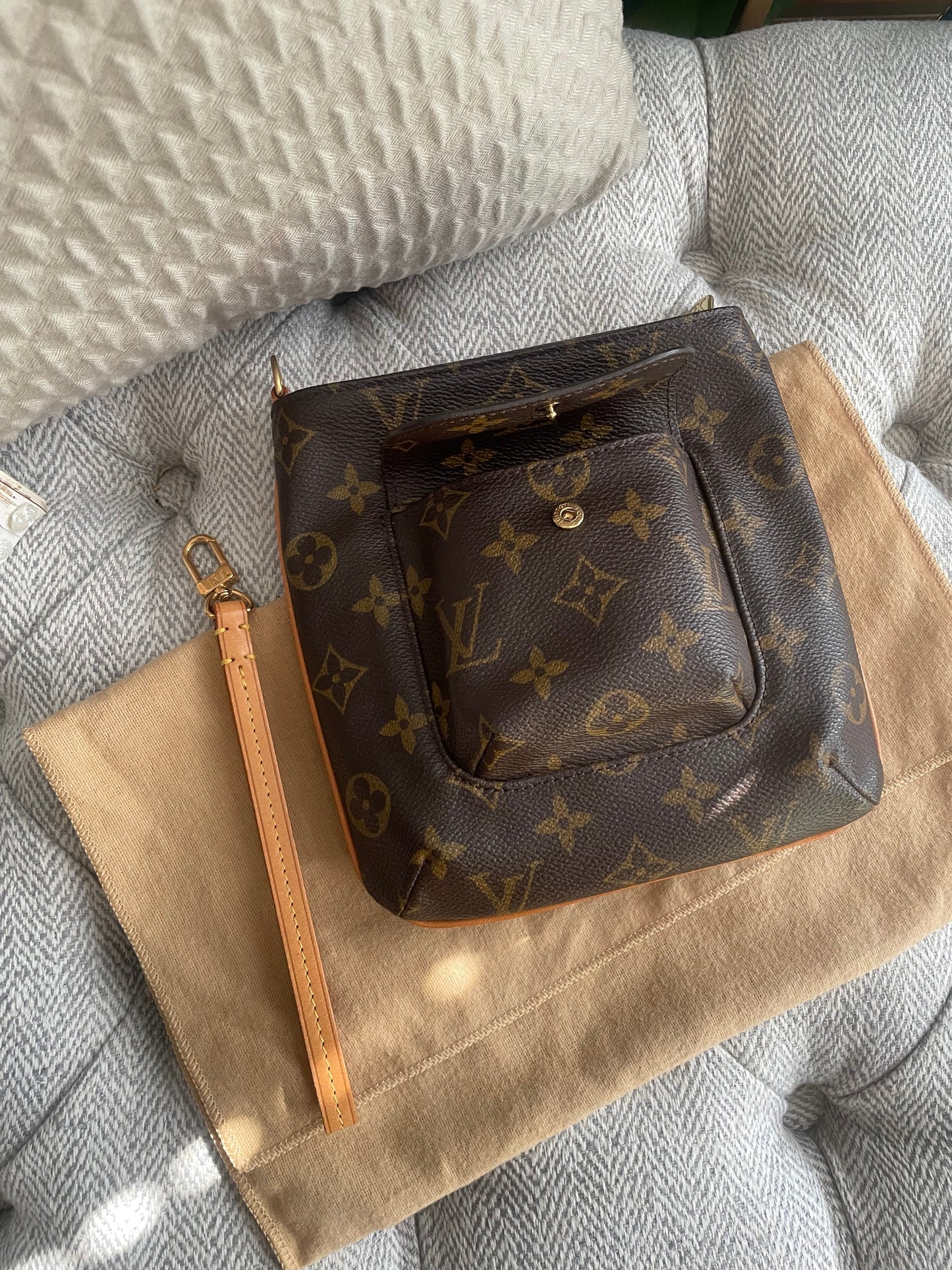 Louis Vuitton Partition Wristlet