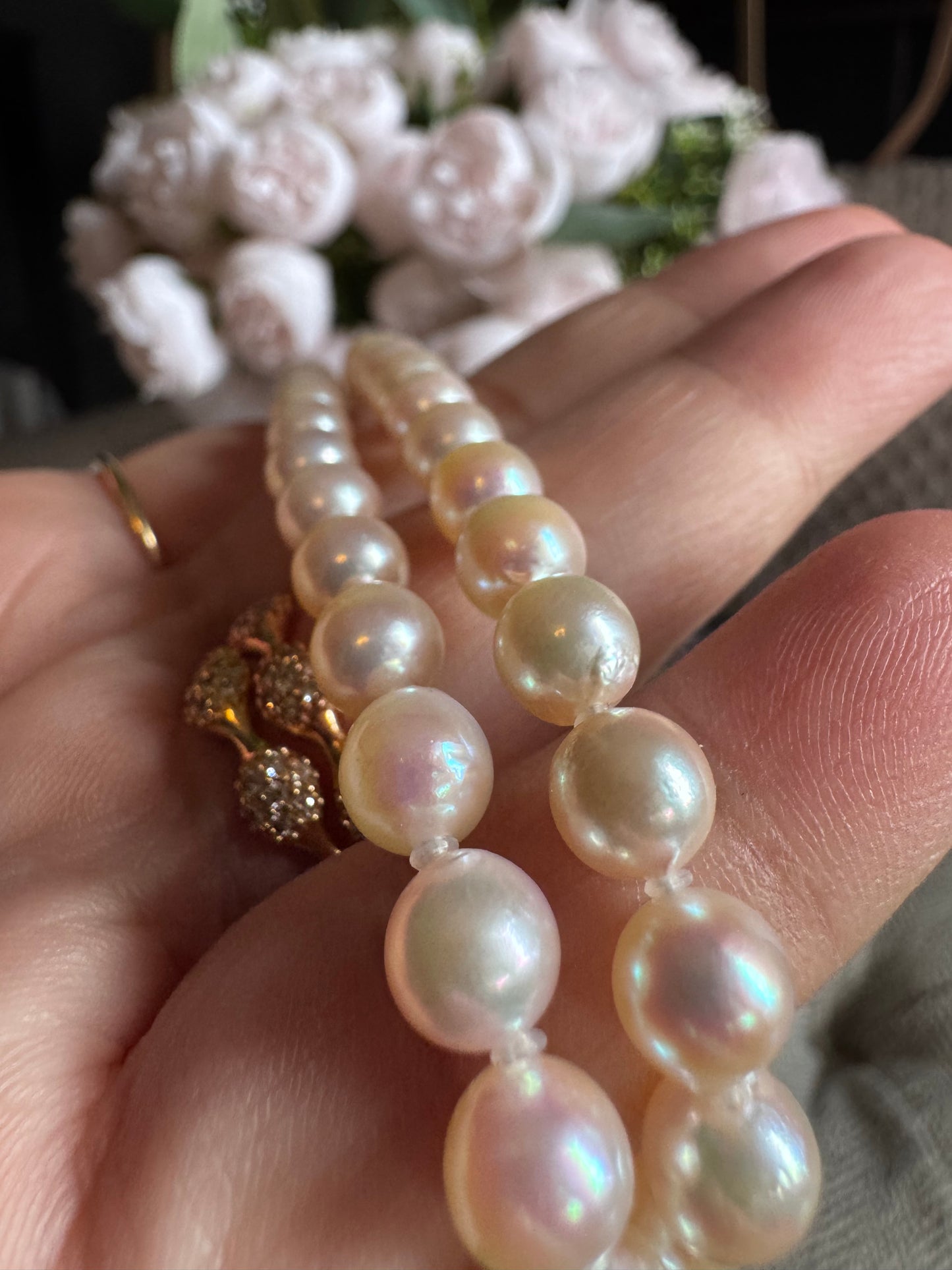 Akoya Pearl Necklace