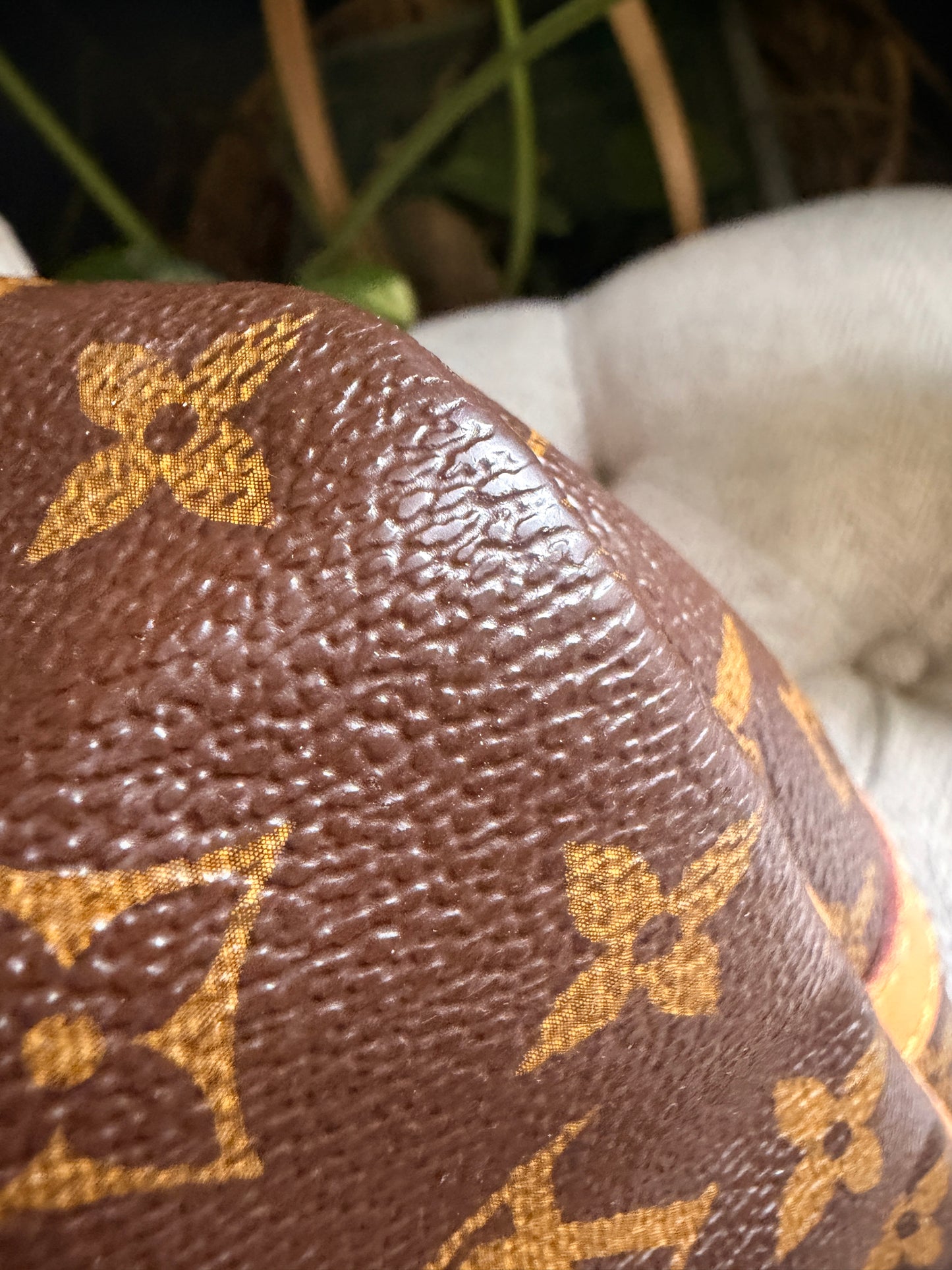 Louis Vuitton Speedy B30 in Monogram