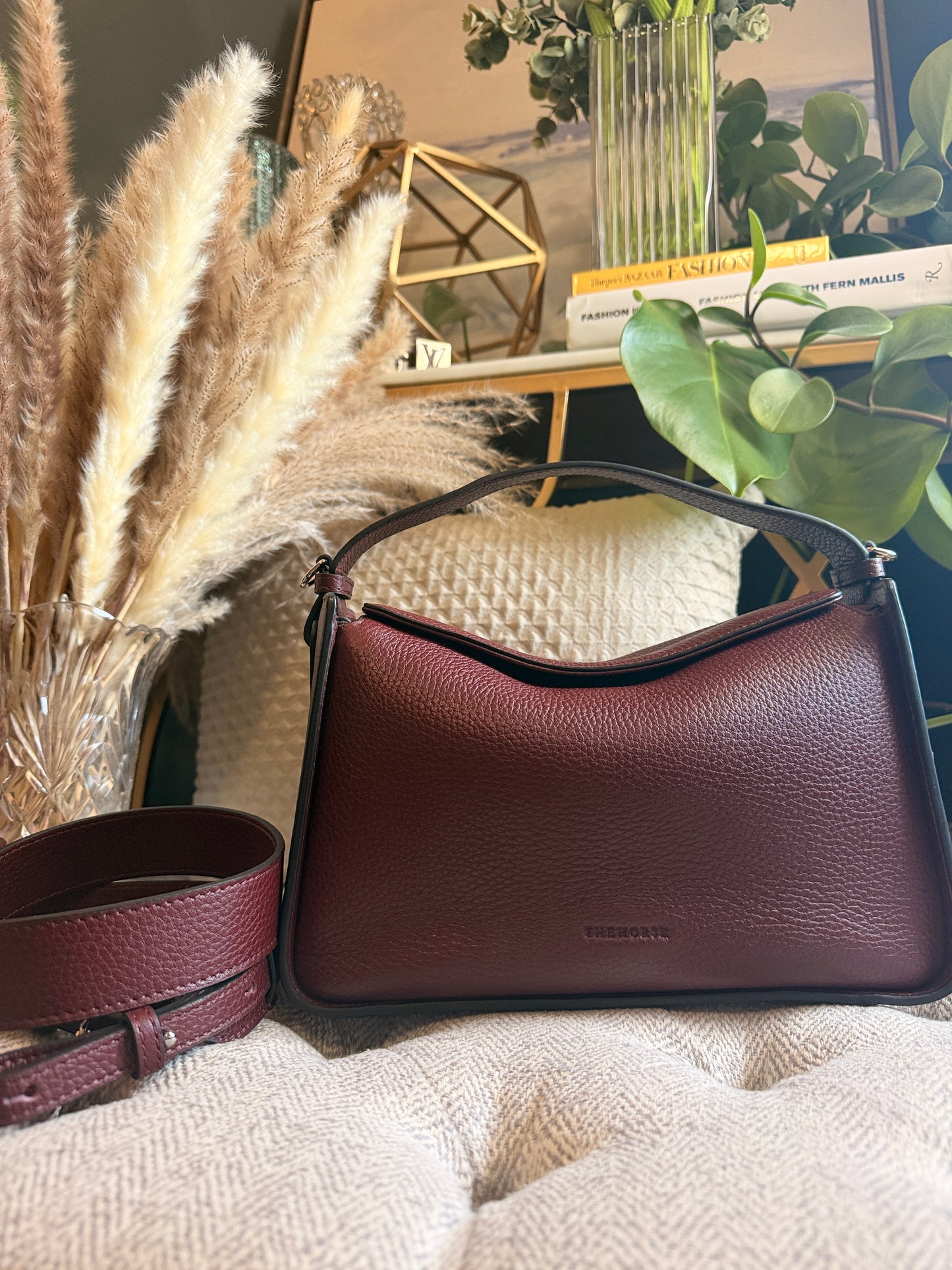 The Horse Clementine in Burgundy