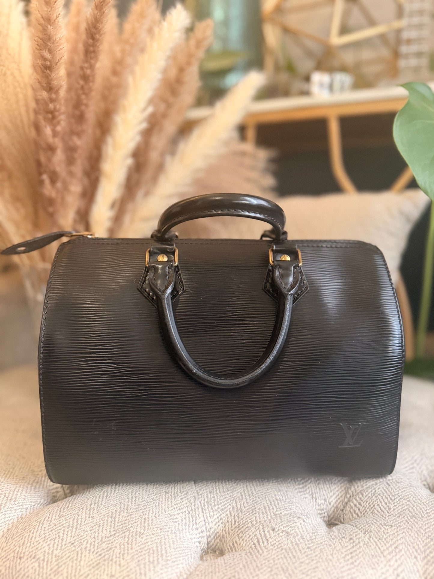 Louis Vuitton Speedy 25 in Epi Noir