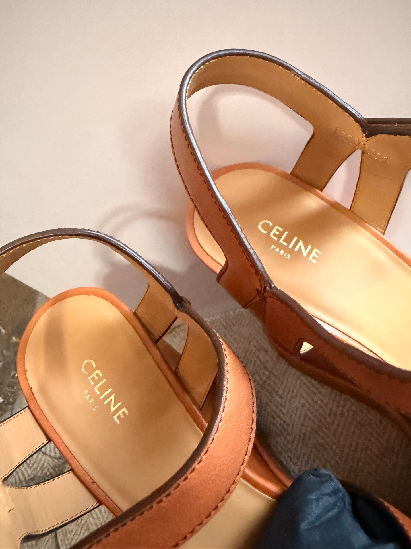 CELINE Triomphe Platform Leather Wedge Sandals
