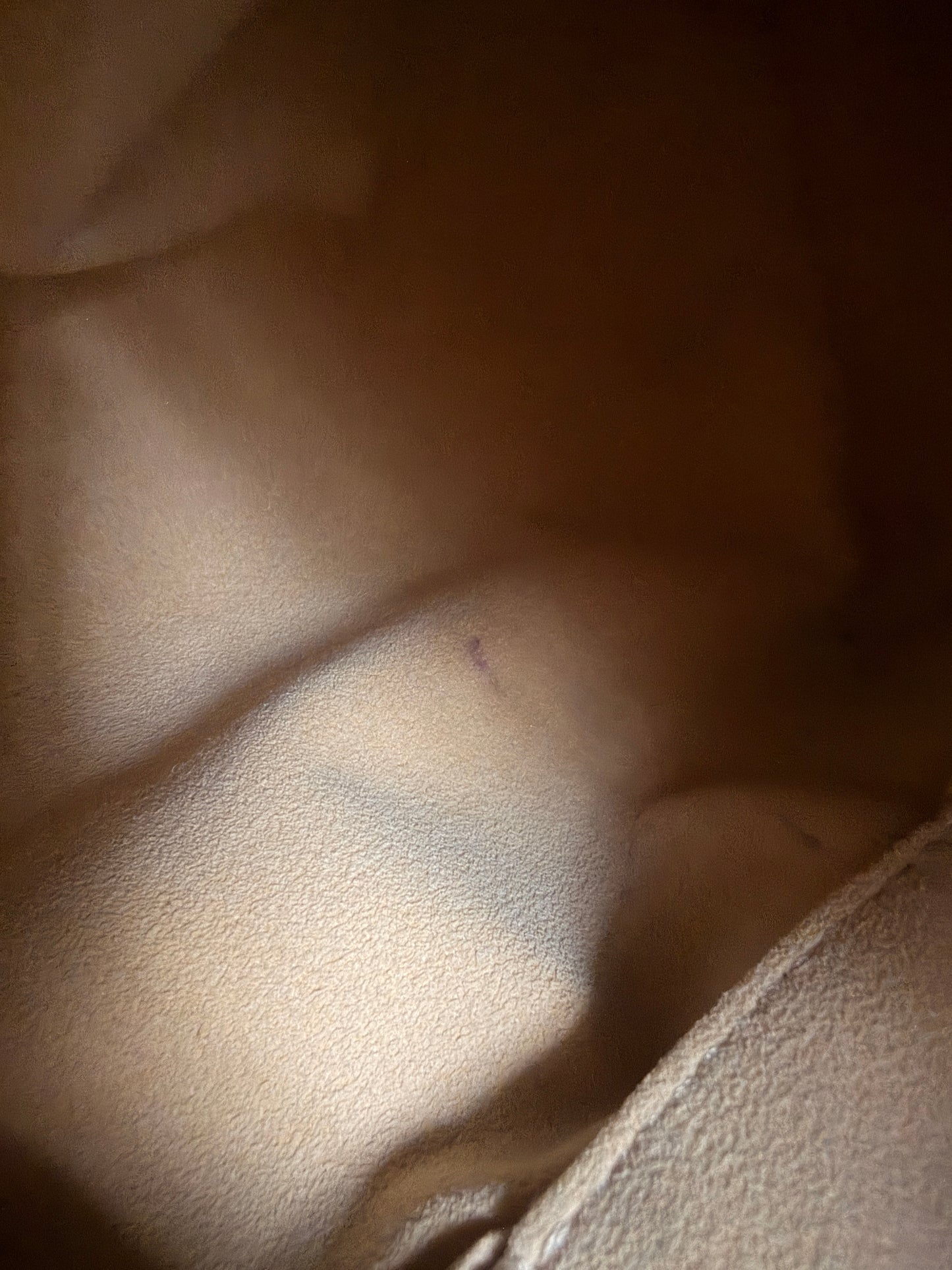 Louis Vuitton Galliera PM