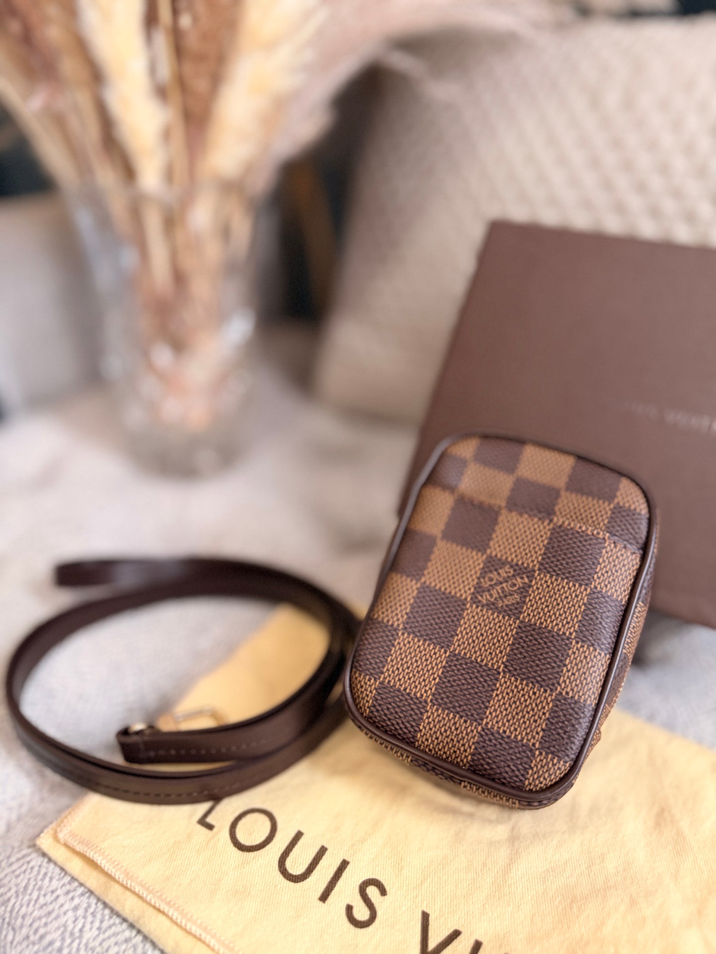 Louis Vuitton Etui Okapi PM Pouch, Rare & HTF
