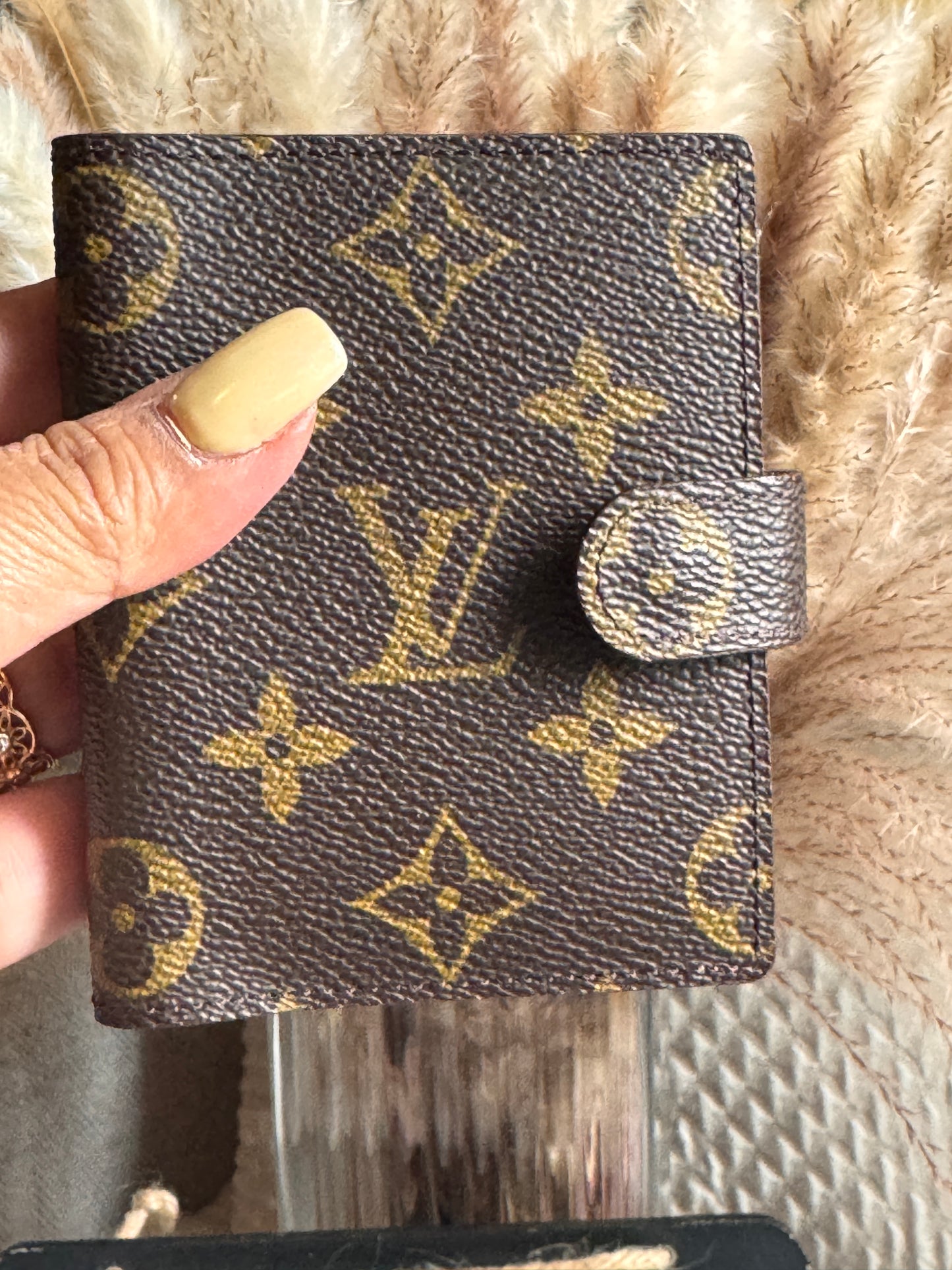Louis Vuitton Cardholder in Monogram