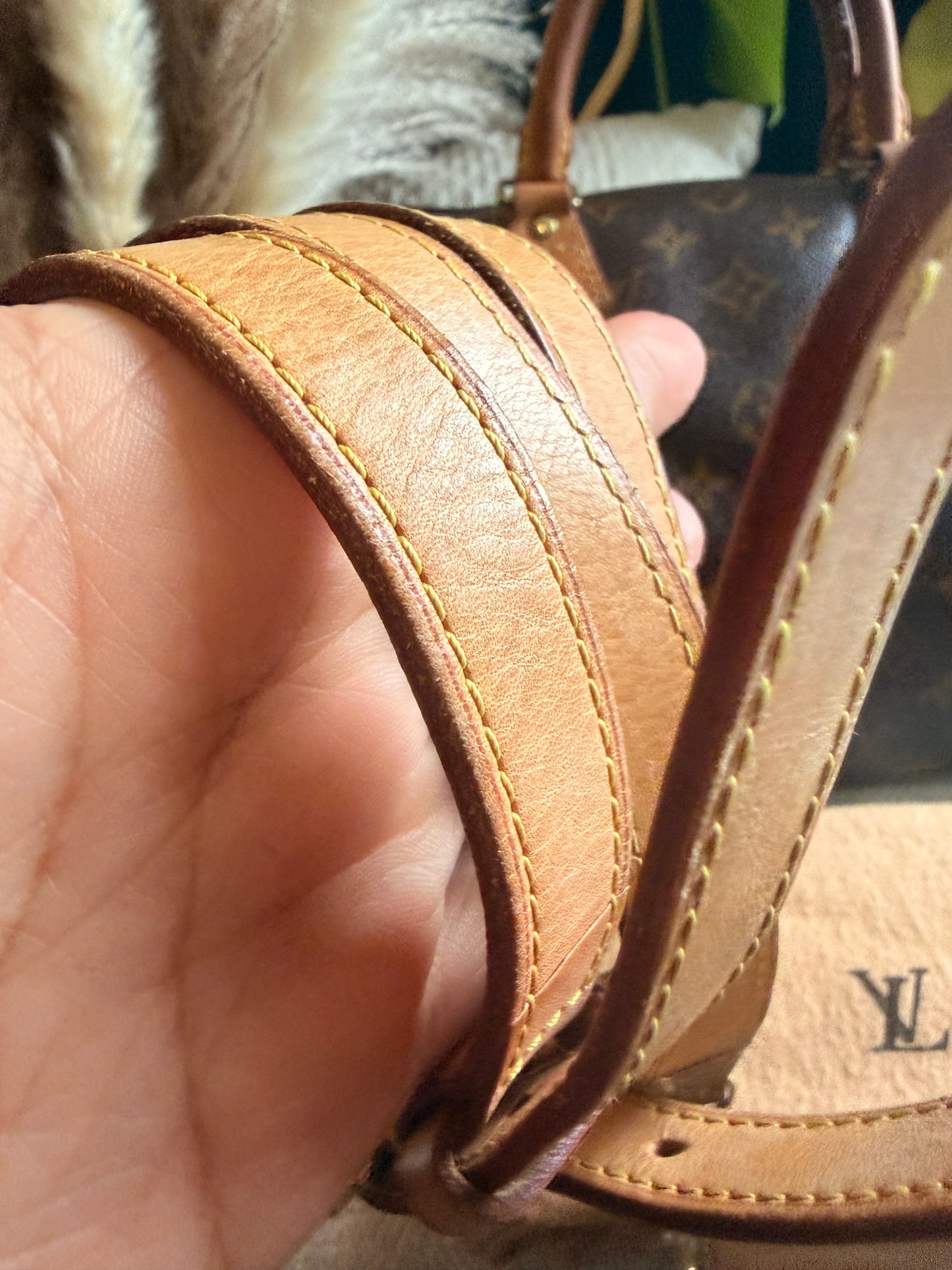 Louis Vuitton Speedy B30 in Monogram