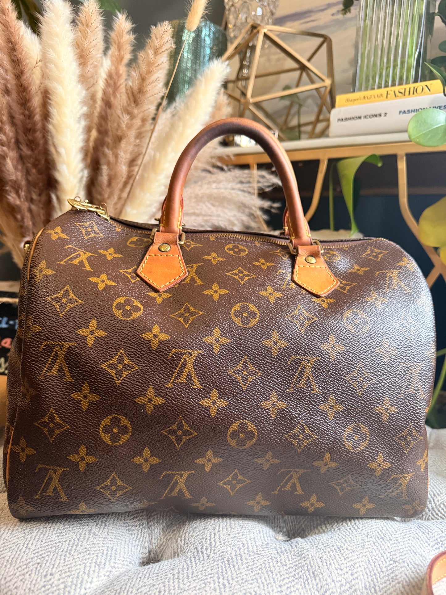 Louis Vuitton Speedy B30 in Monogram