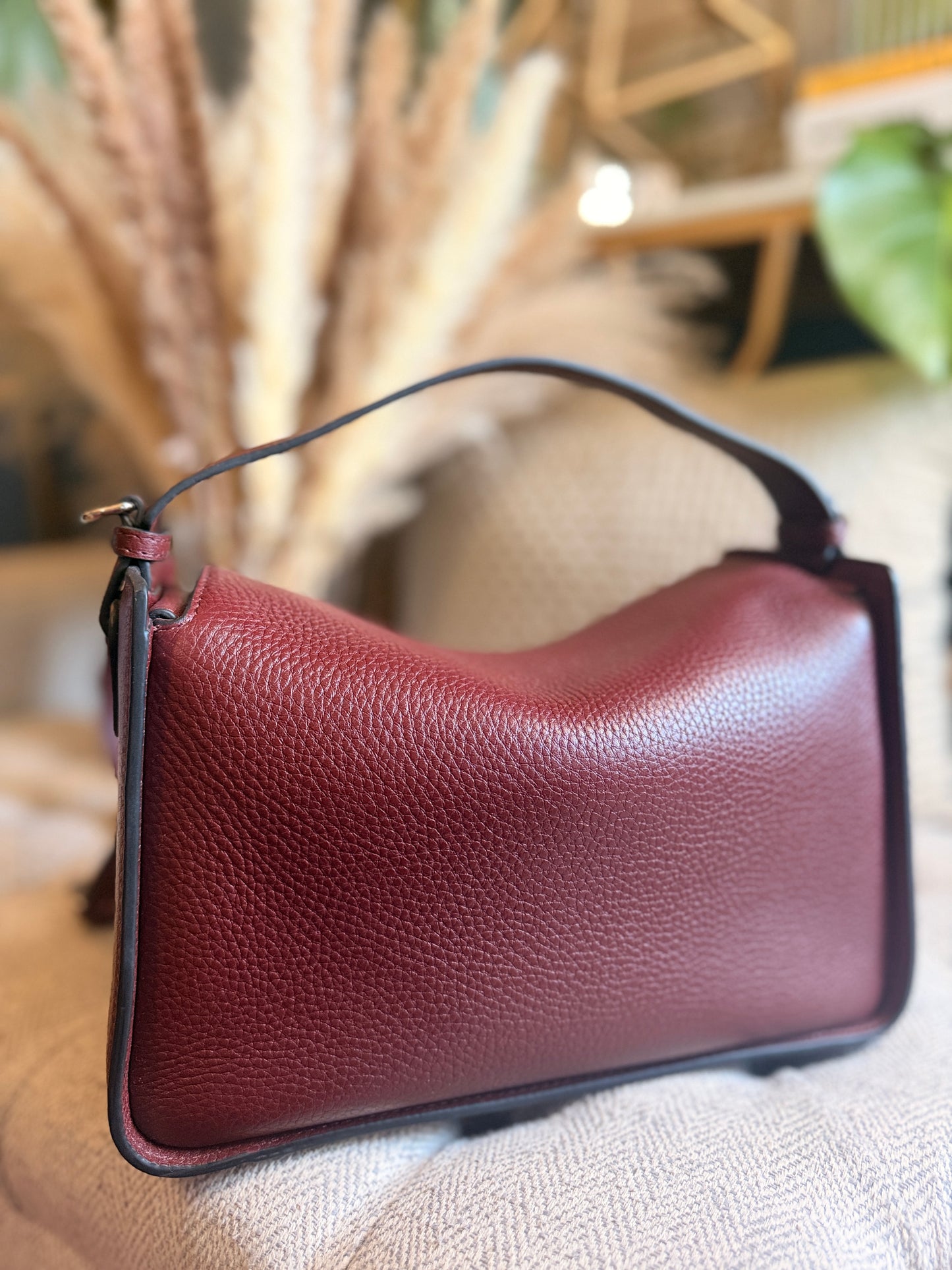 The Horse Clementine in Burgundy