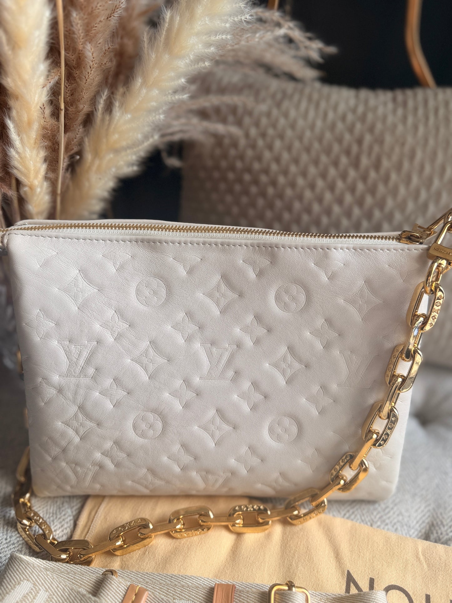 Louis Vuitton Coussin PM