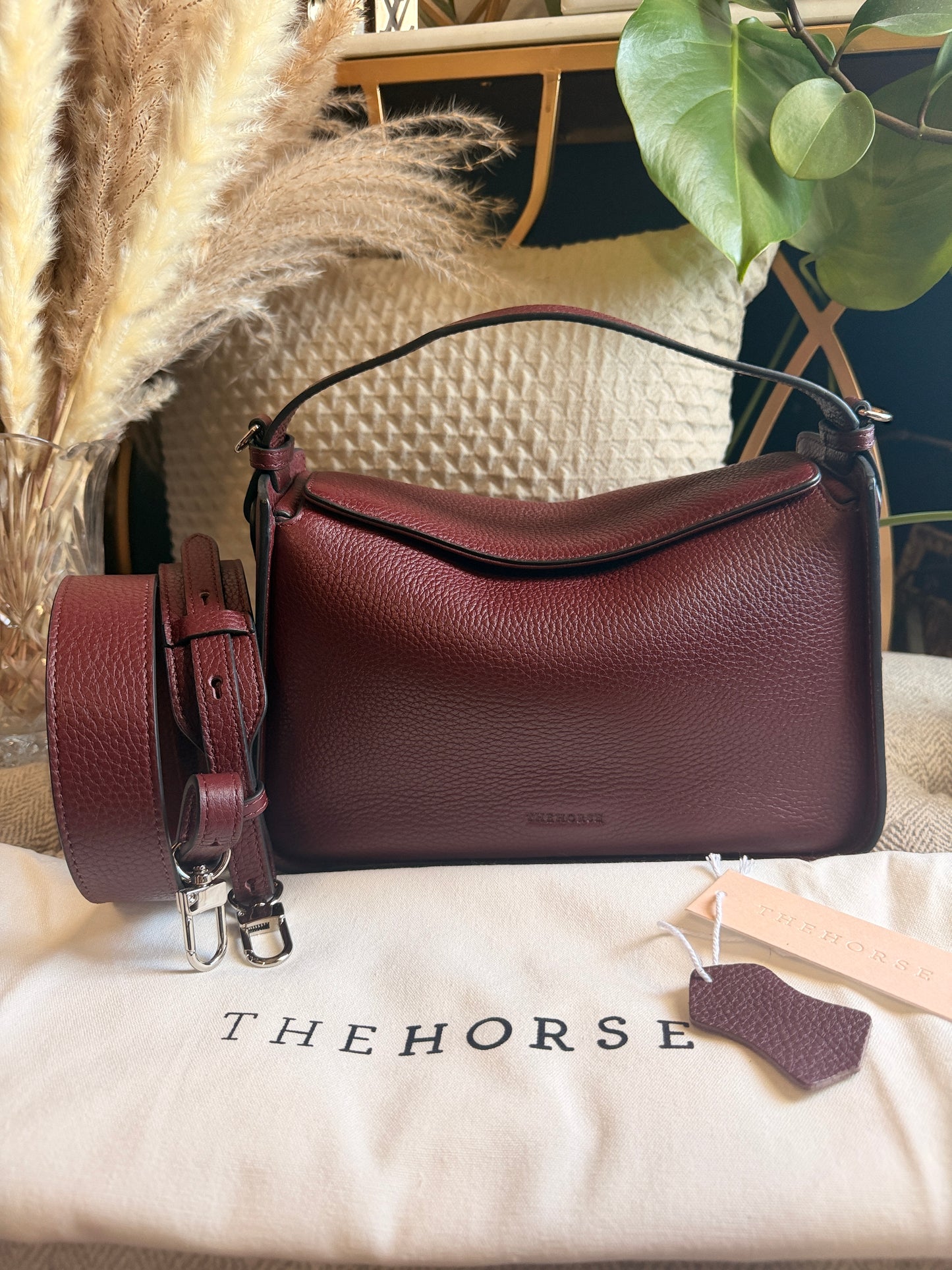 The Horse Clementine in Burgundy