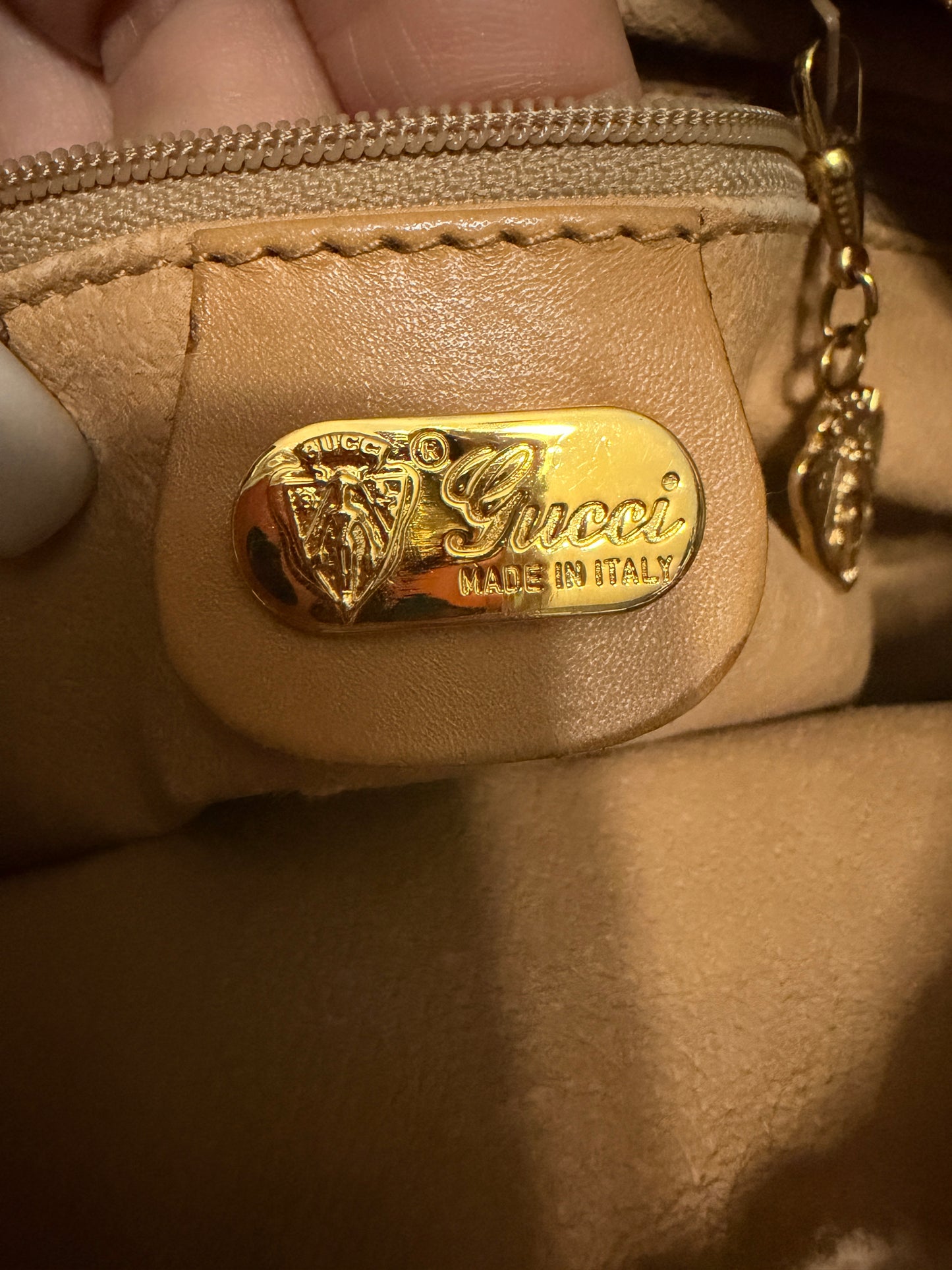 Gucci Vintage Micro GG Camera Bag