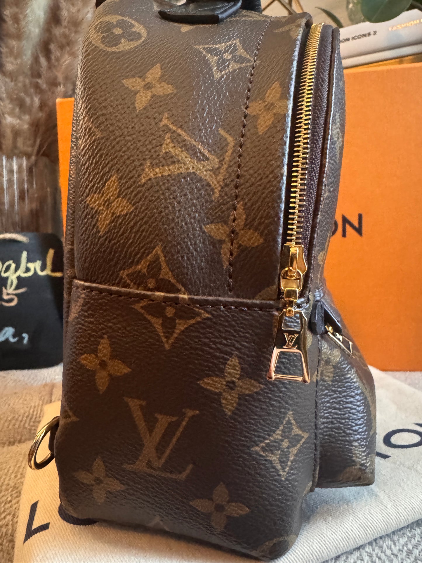 Louis Vuitton Mini Palm Springs-New Model with exposed zip Microchipped