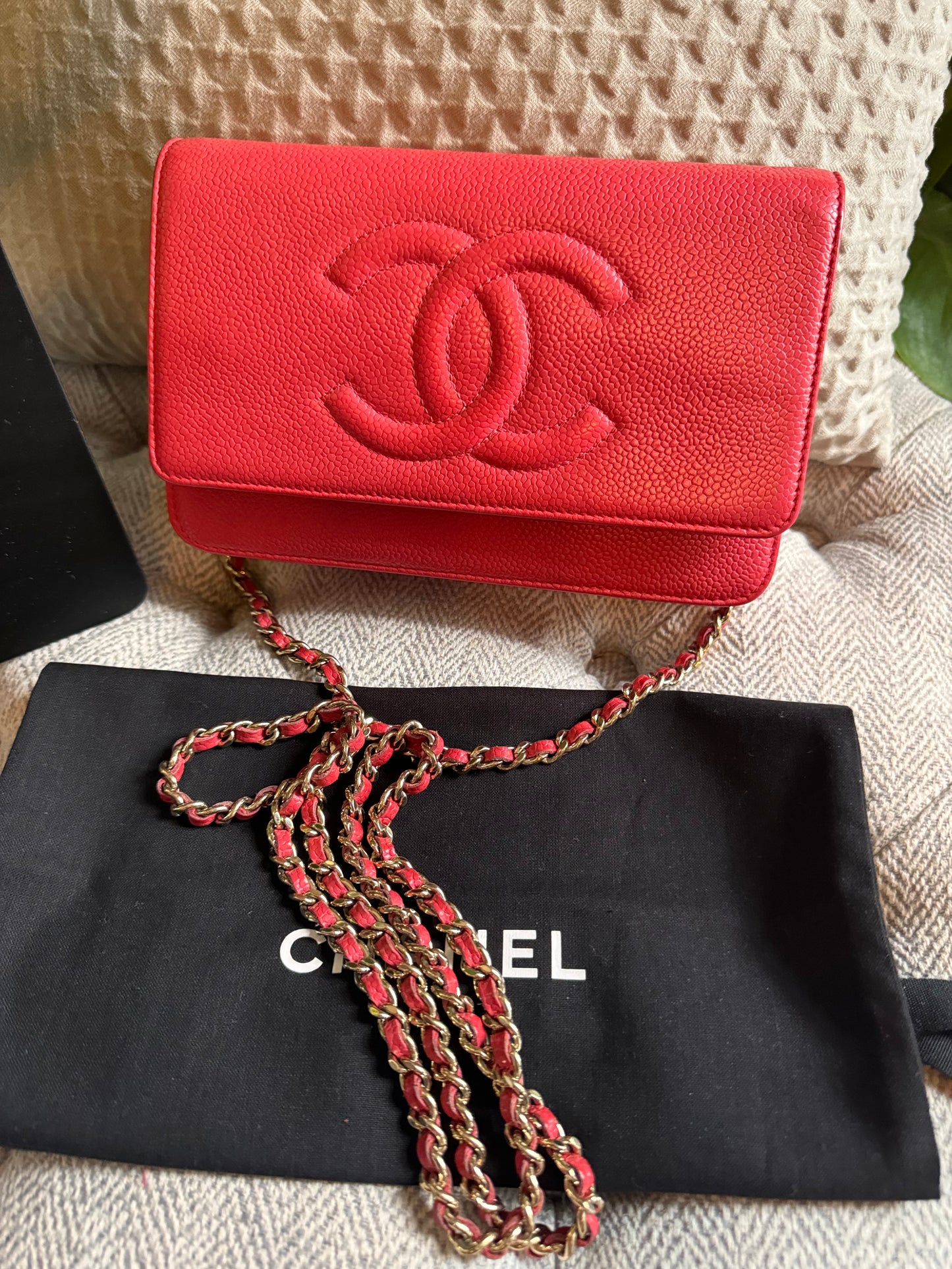 Chanel WOC Caviar in Silver Hardware