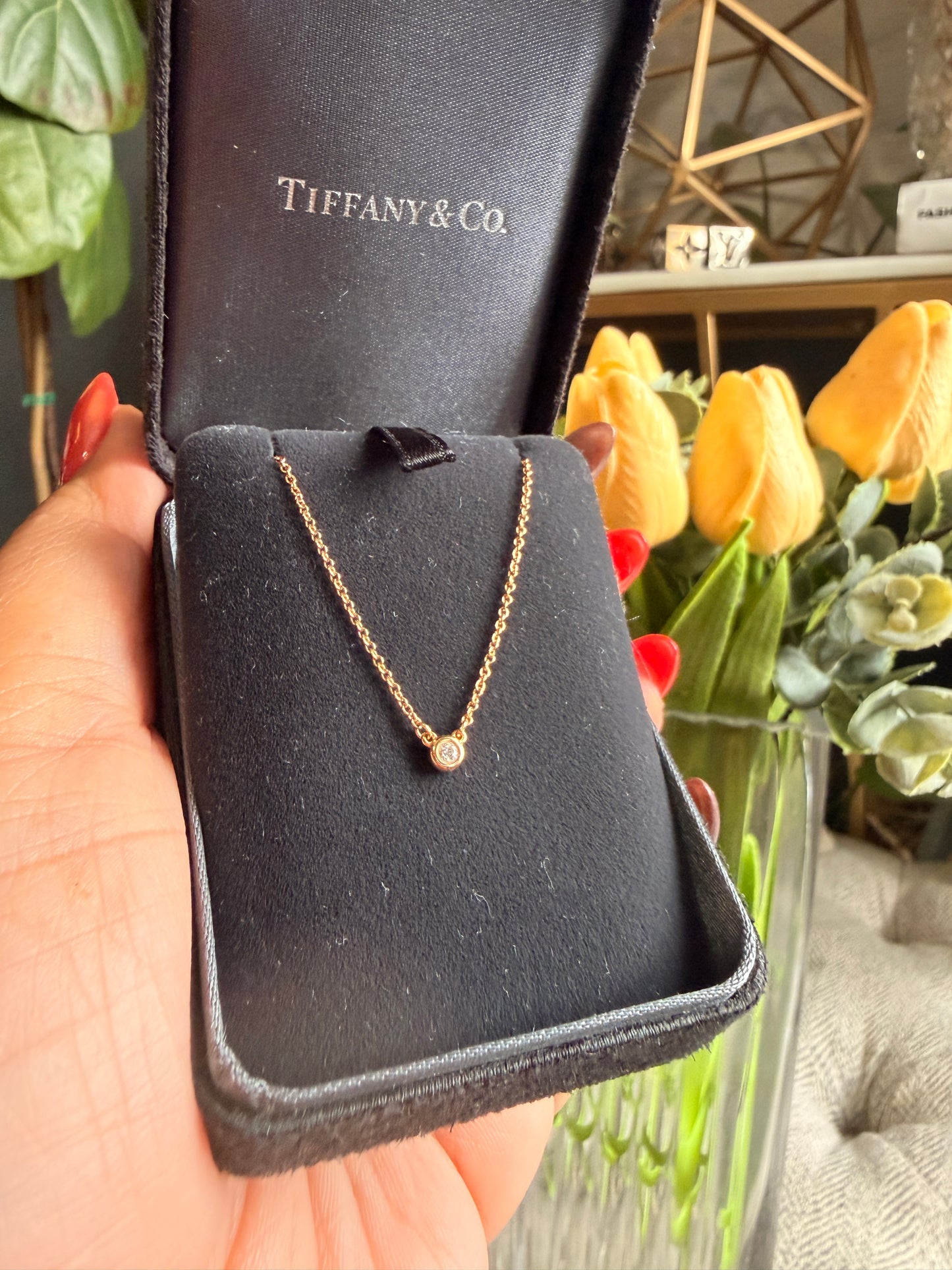 Tiffany & Co Diamond by the Yard Necklace