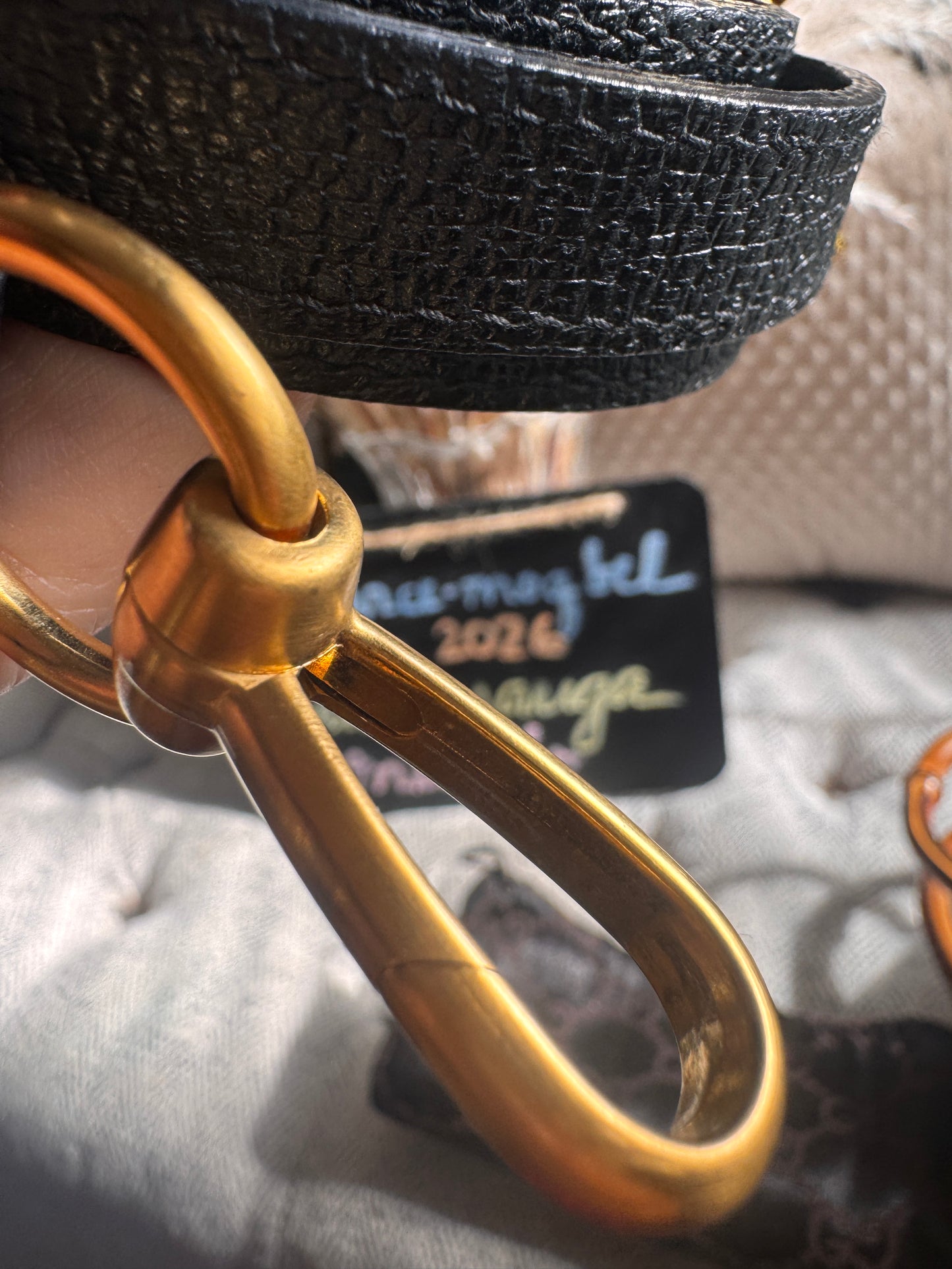 Gucci Vintage Mini Diana in Suede and Leather- with crossbody strap