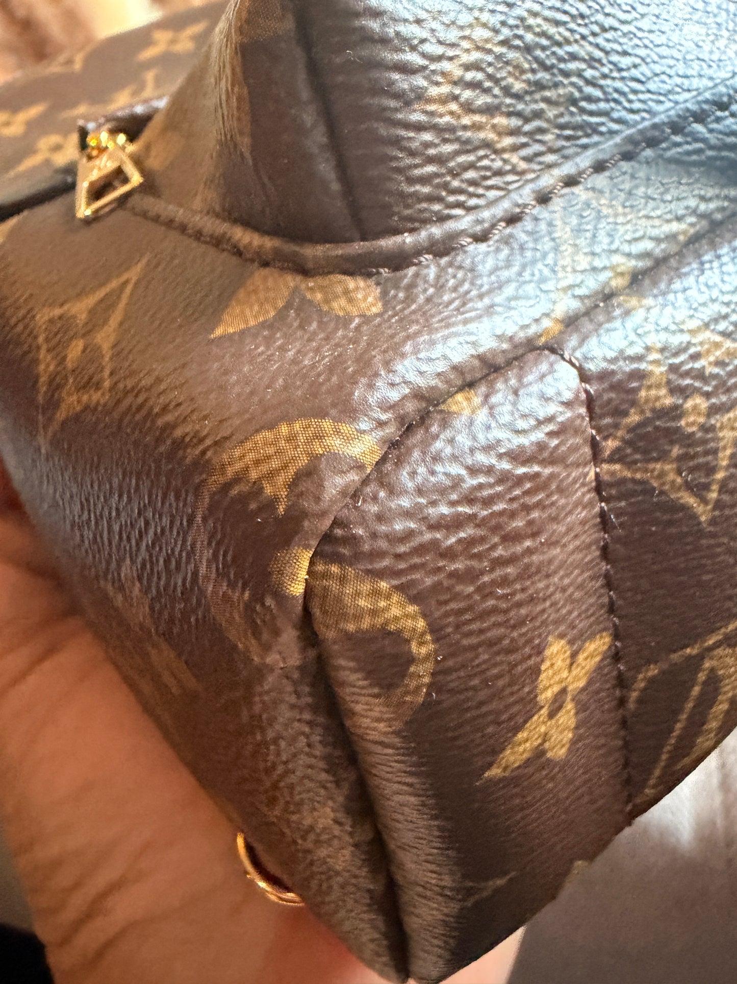 Louis Vuitton Palm Springs Mini-New Version