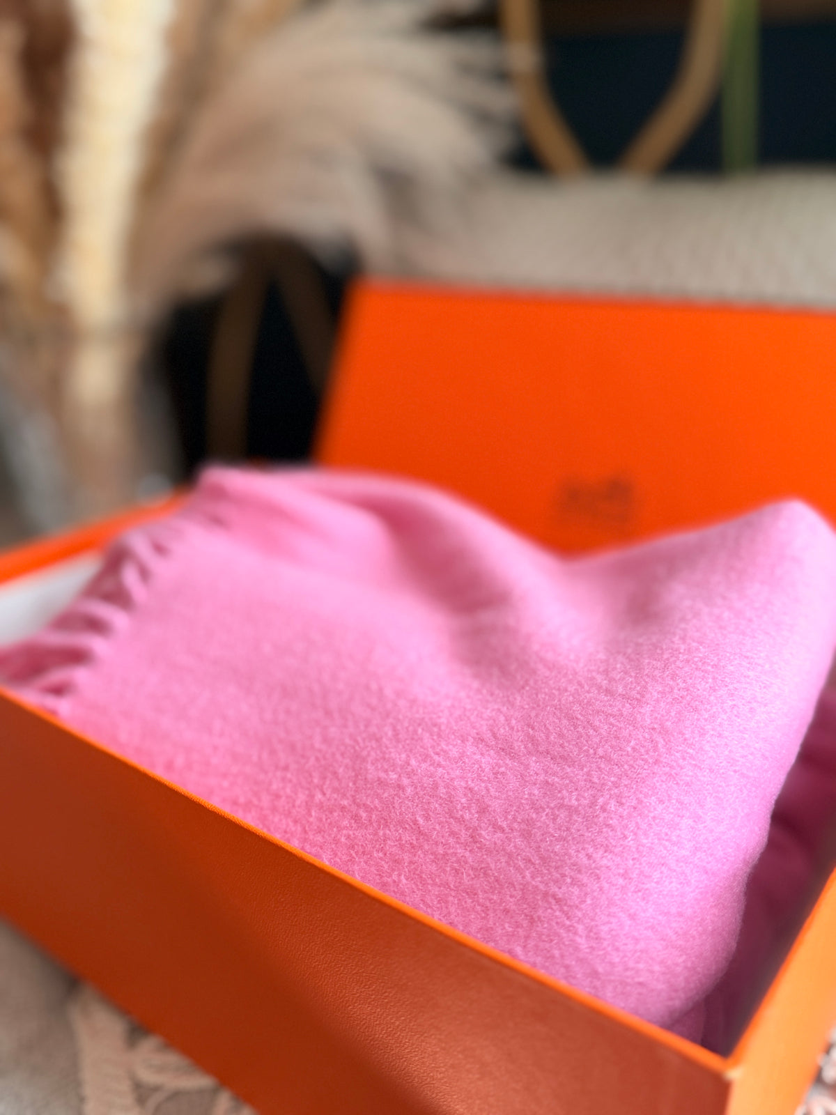 Hermes Cashmere Scarf