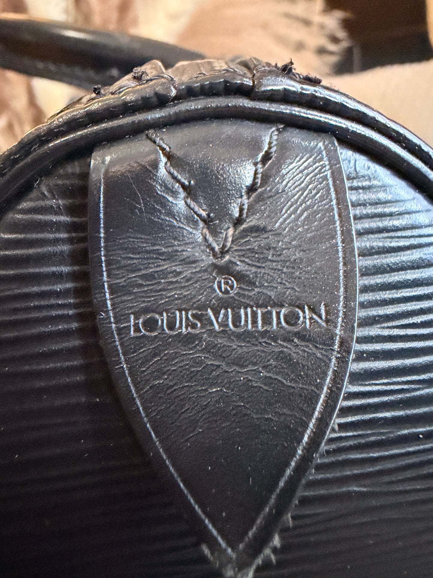 Louis Vuitton Speedy 25 in Epi Noir