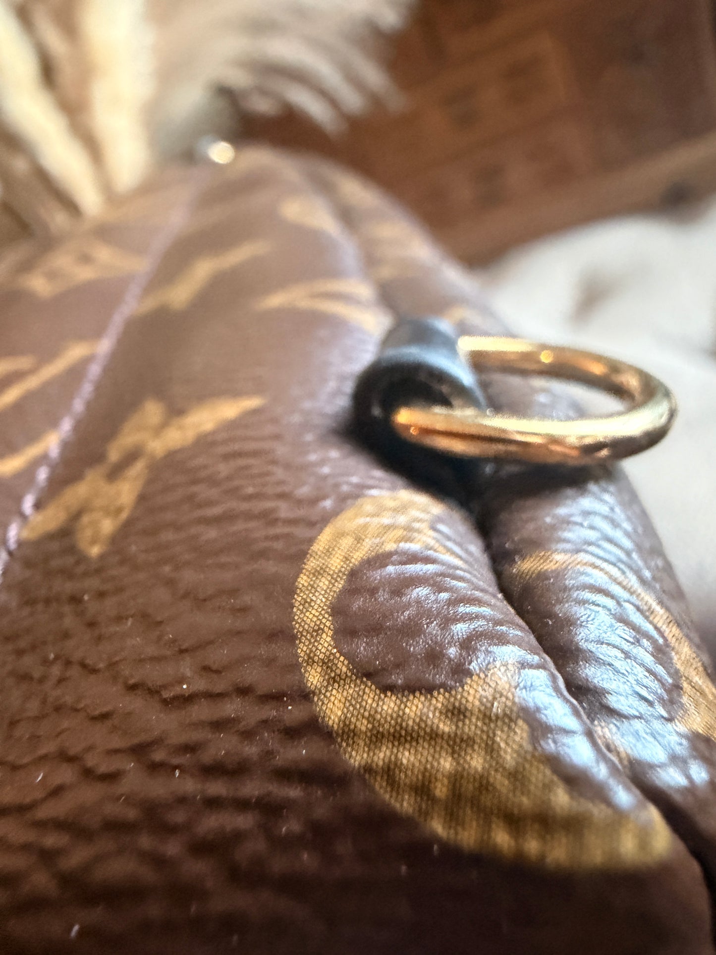 Louis Vuitton Palm Springs Mini-New Version
