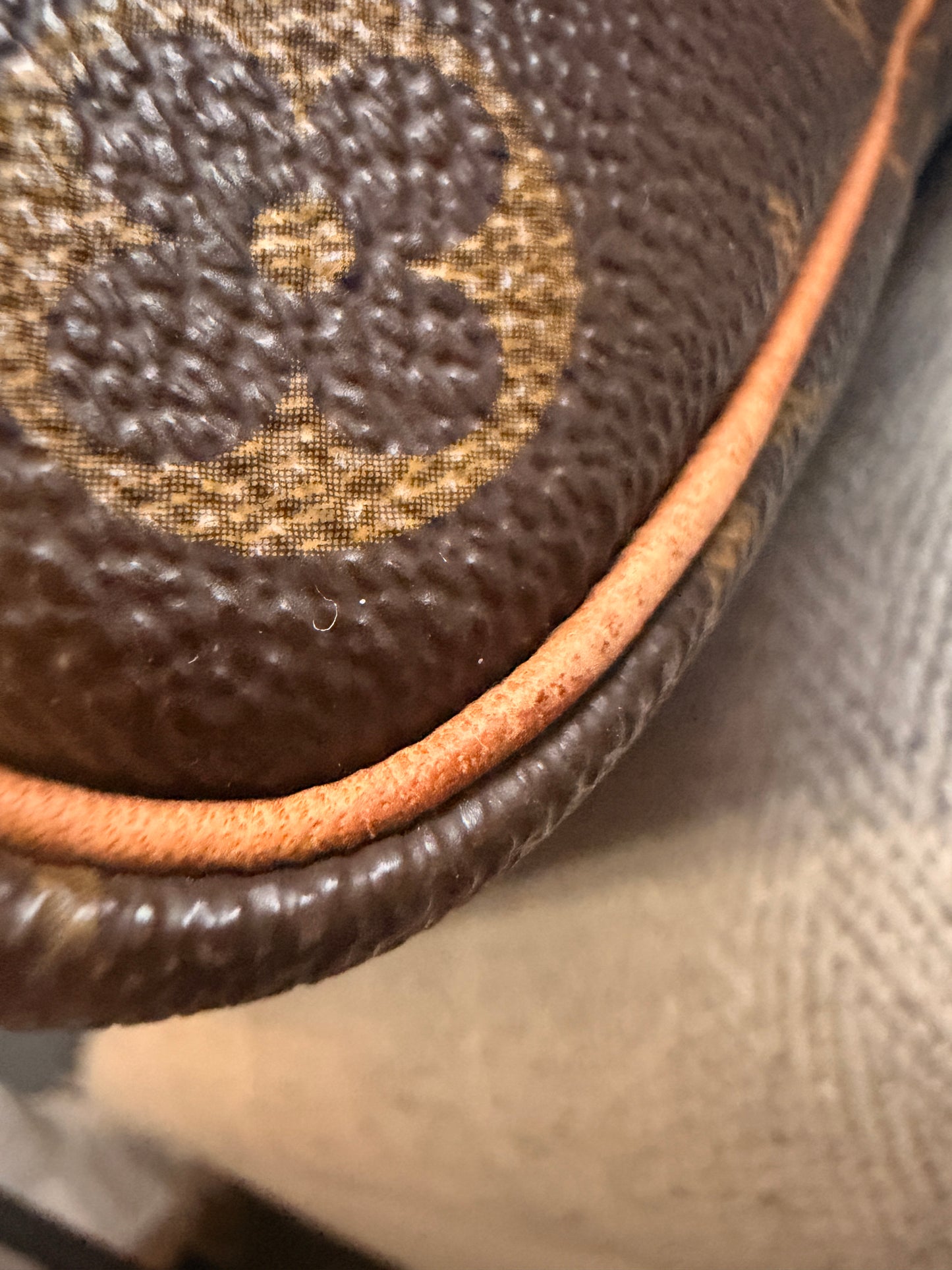 Louis Vuitton Speedy 40 in Monogram