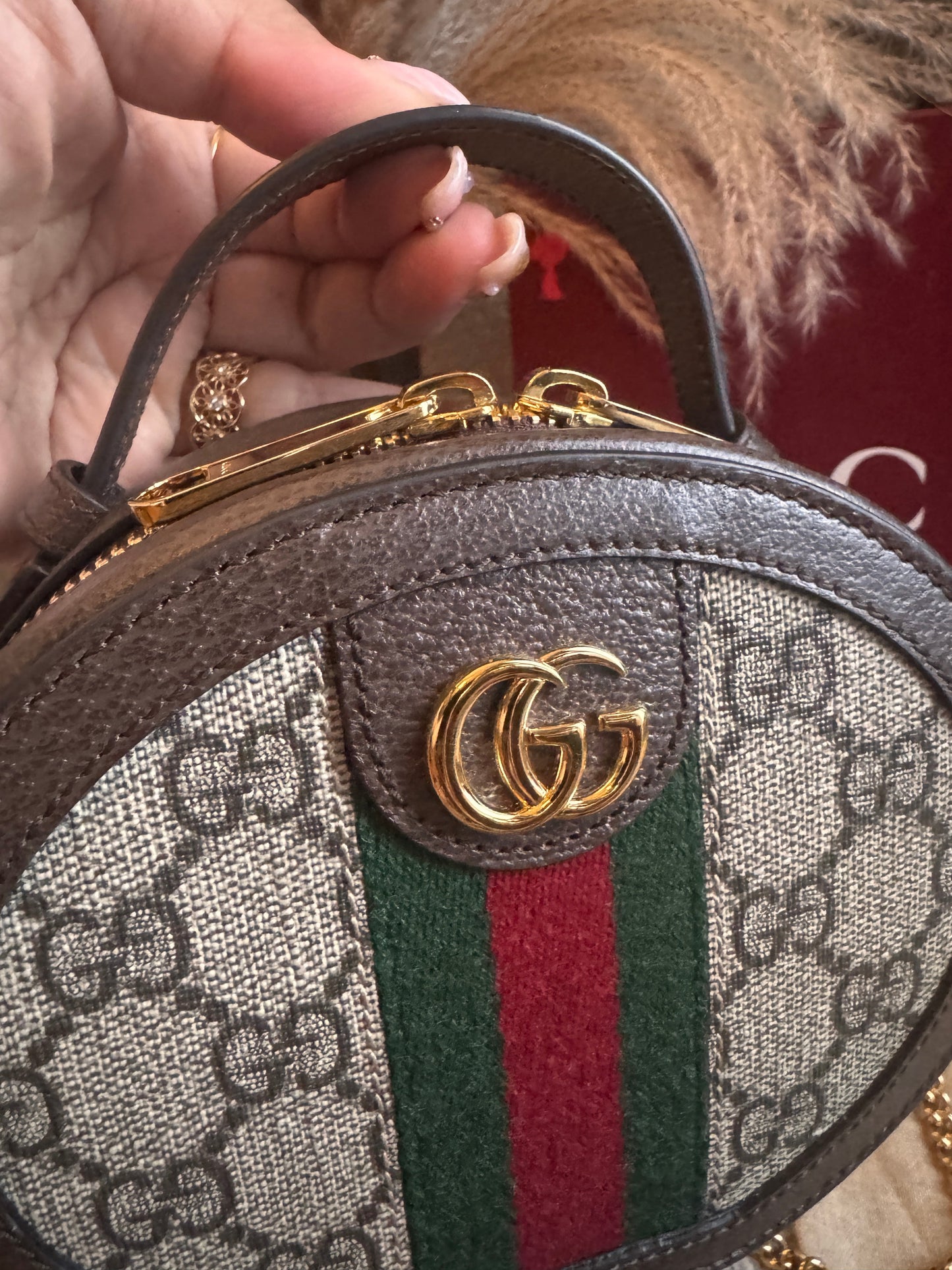 Gucci Ophidia Mini Chain bag