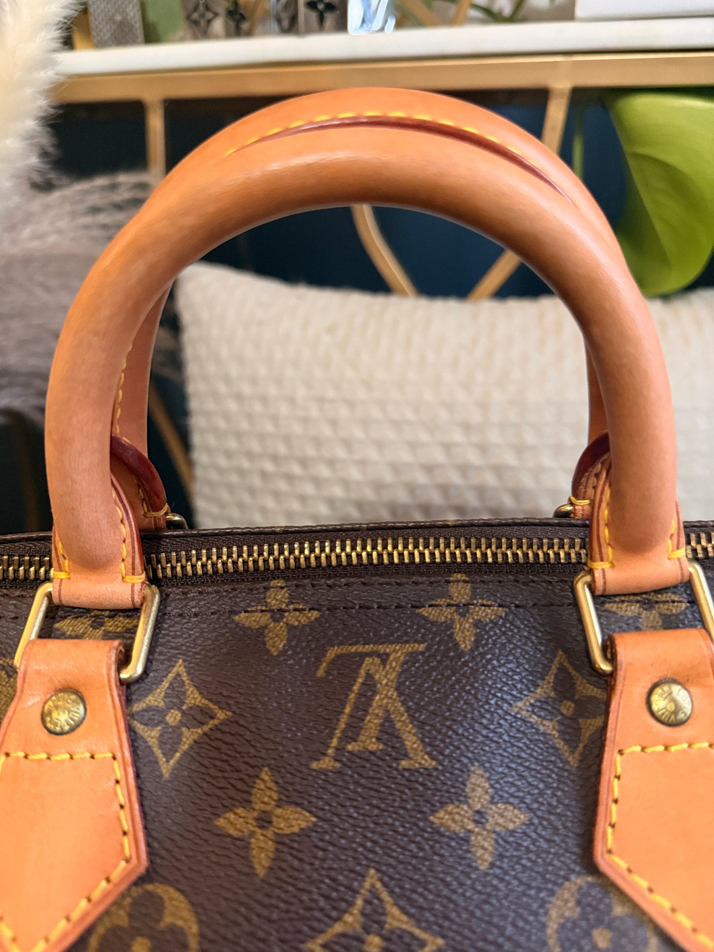 Louis Vuitton Speedy 40 in Monogram