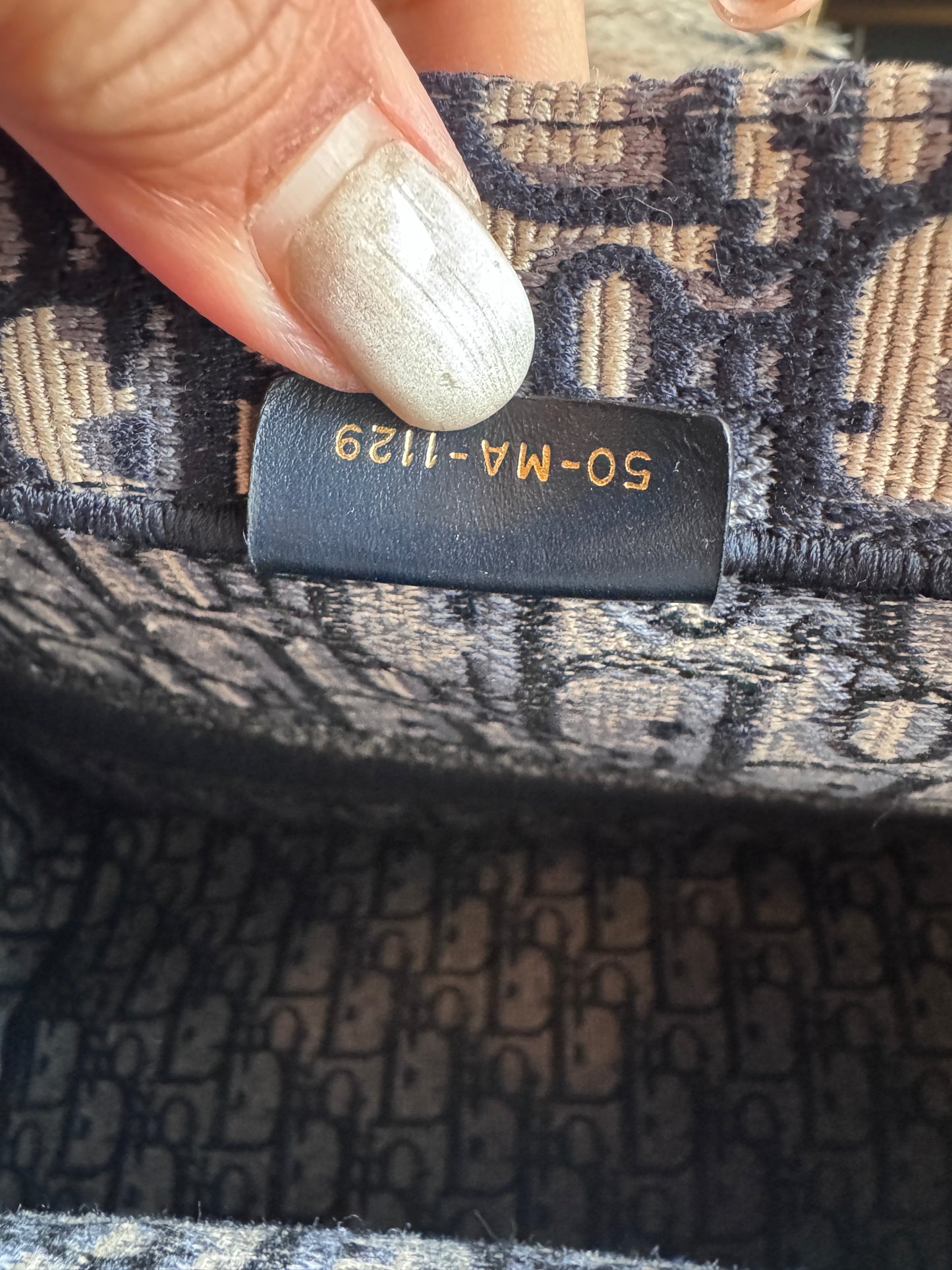 Dior Medium Book Tote in Oblique