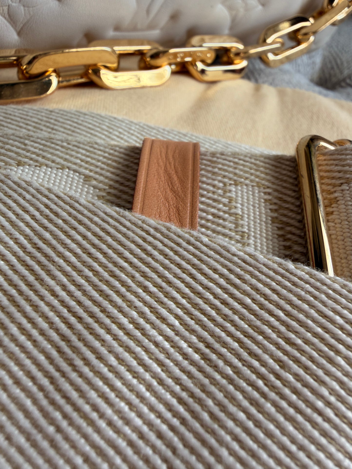 Louis Vuitton Coussin PM