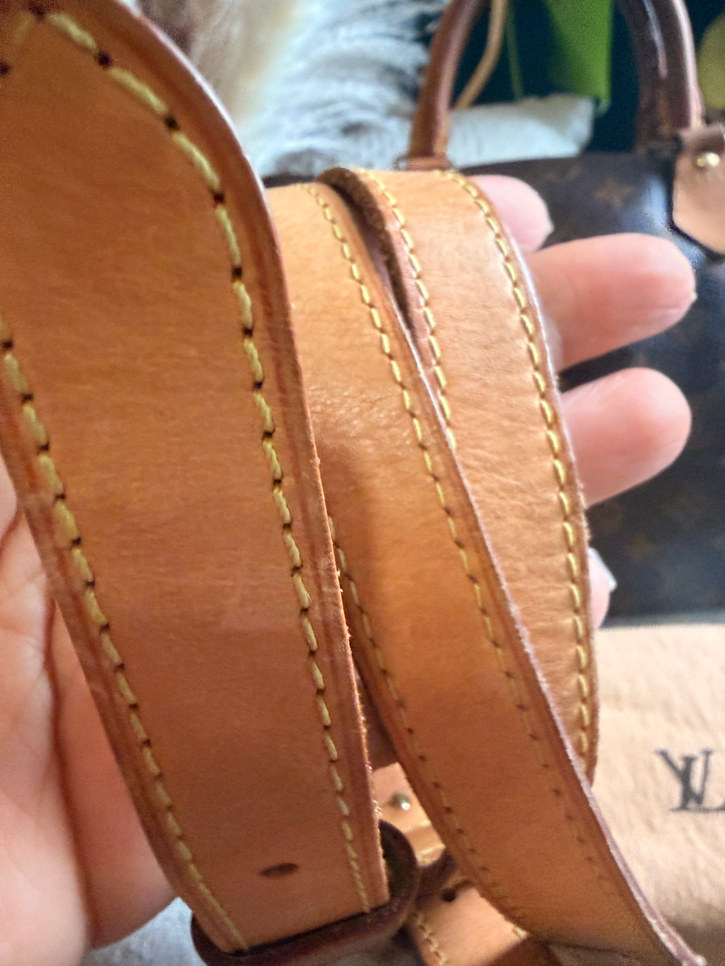 Louis Vuitton Speedy B30 in Monogram
