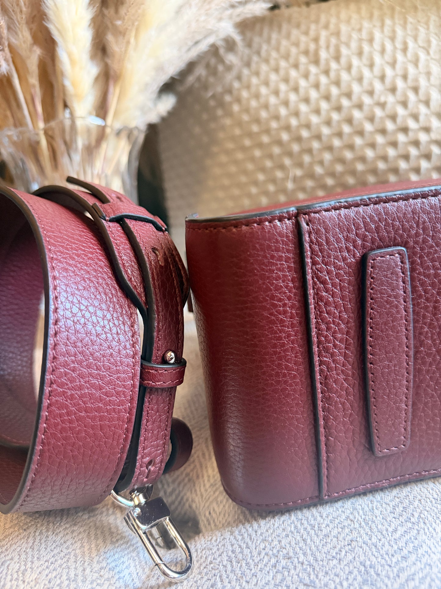 The Horse Clementine in Burgundy